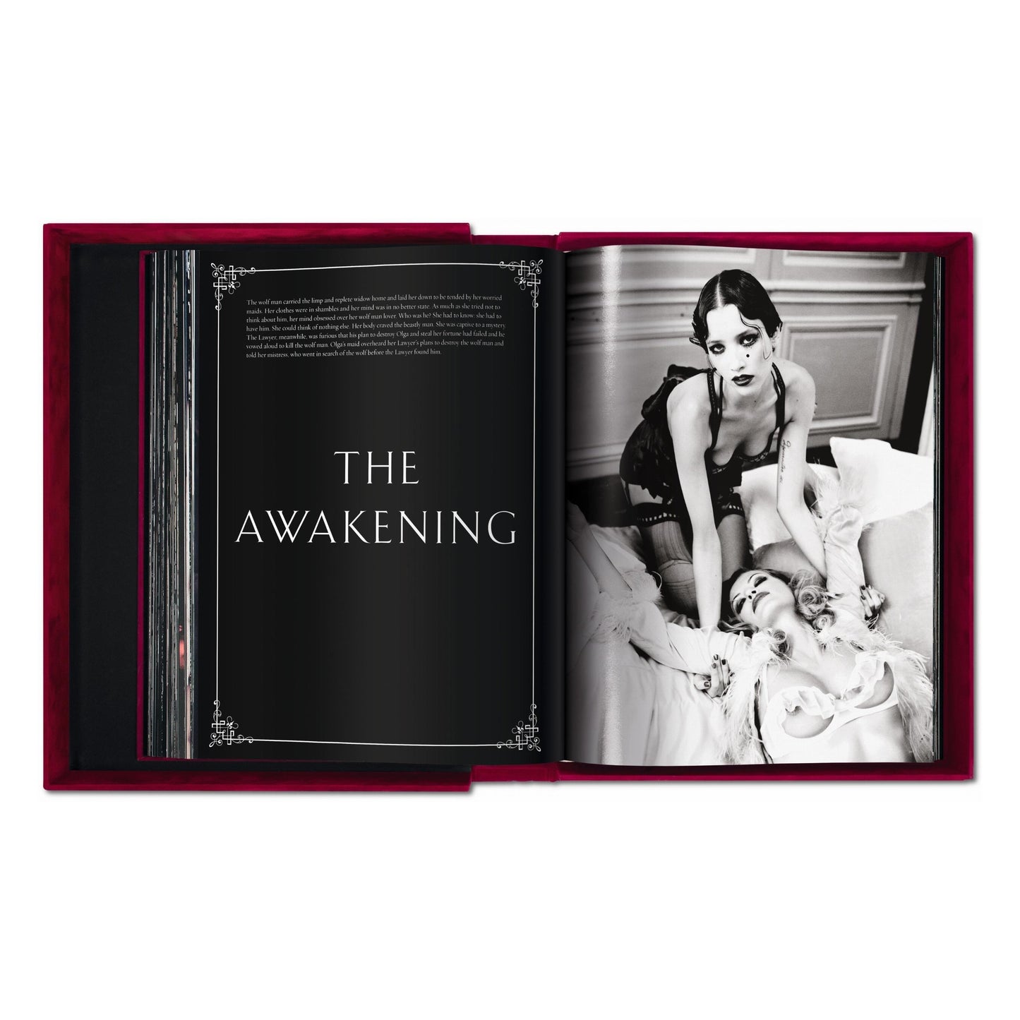 Ellen von Unwerth. The Story of Olga (German, French, English) (SA)
