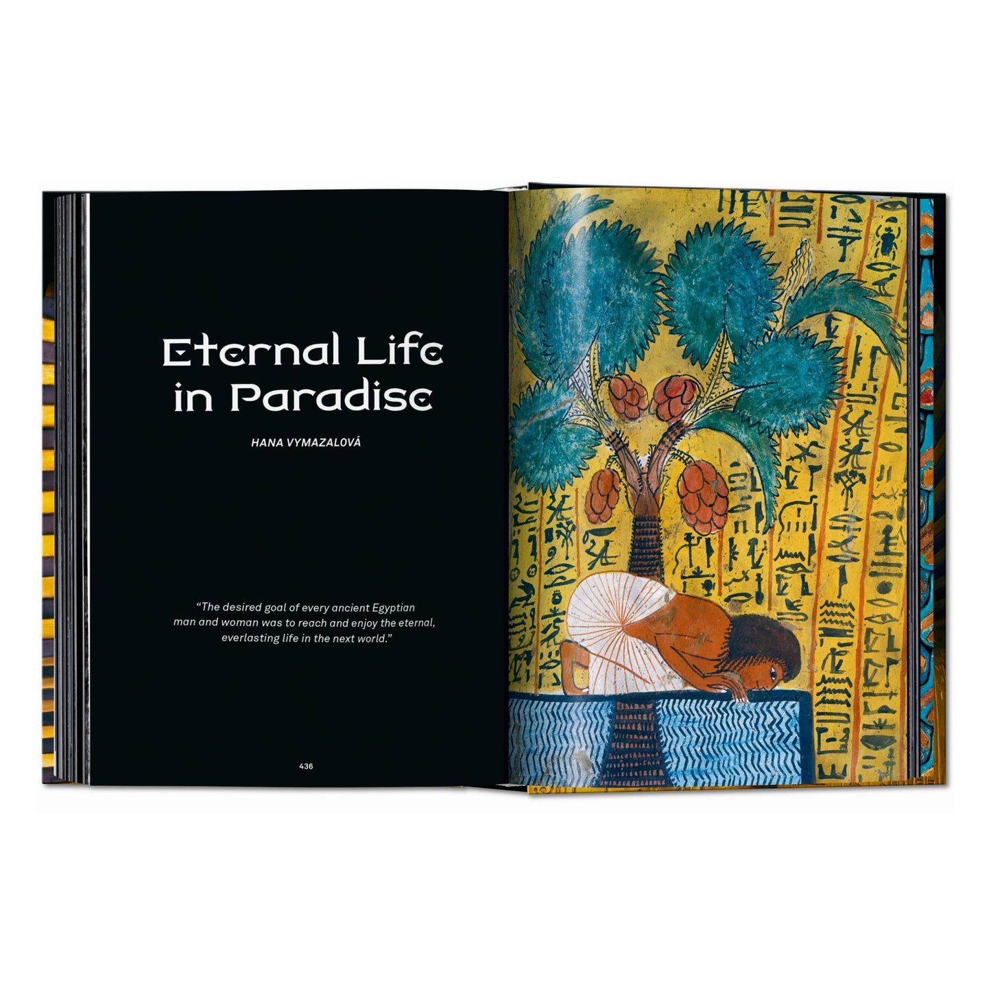 King Tut. The Journey through the Underworld. 45th Ed. (English)