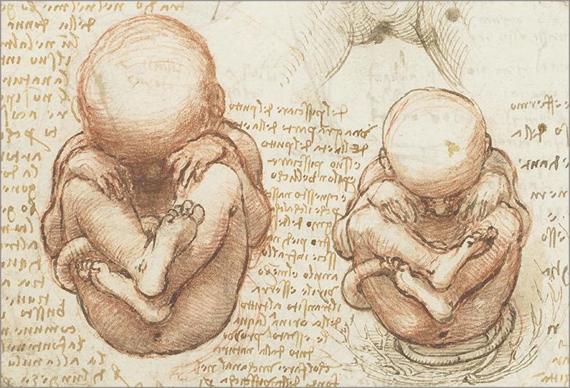 Leonardo. Obra pictórica completa y obra gráfica (Spanish)