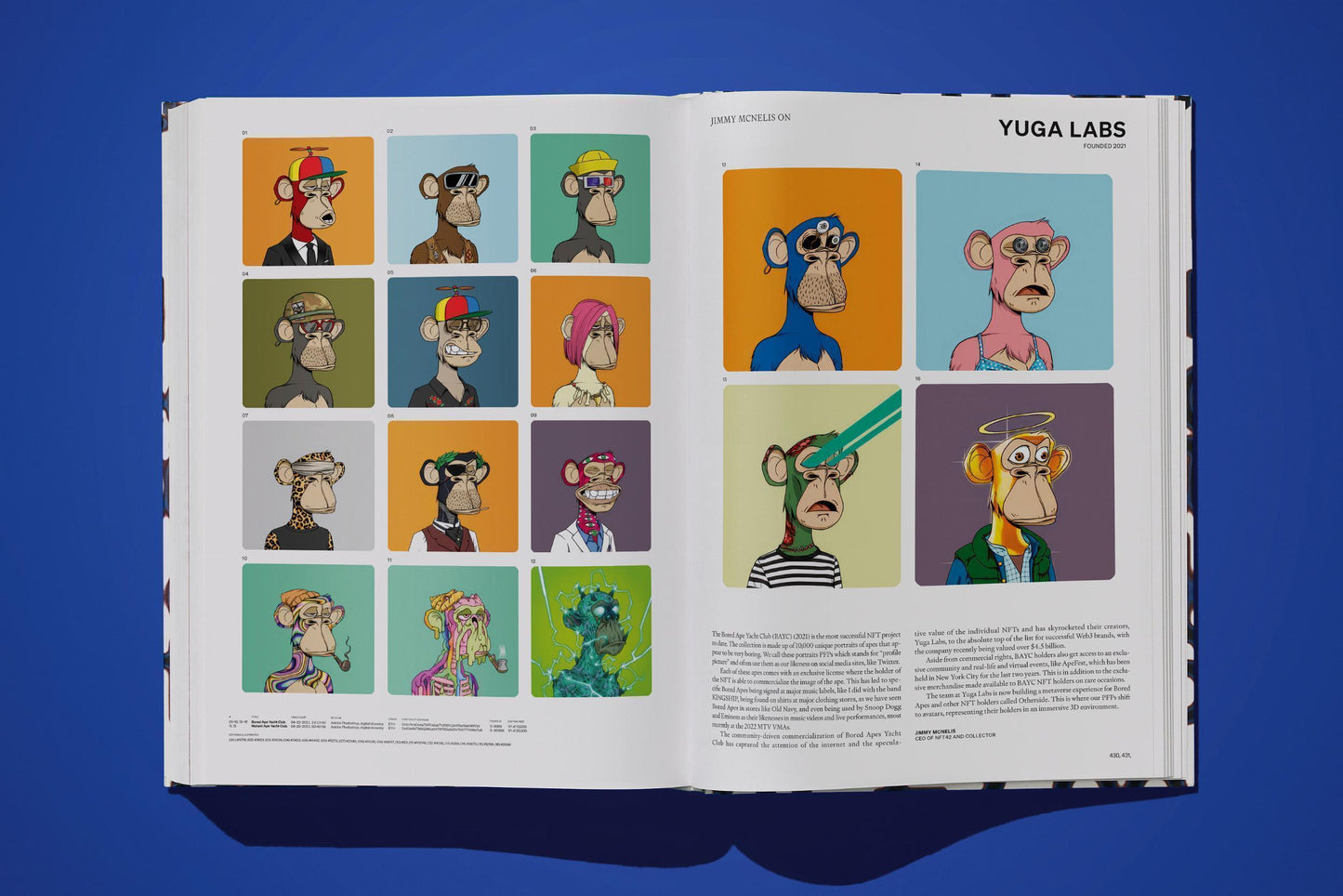 On NFTs, Art Edition Sofia Crespo (AP)