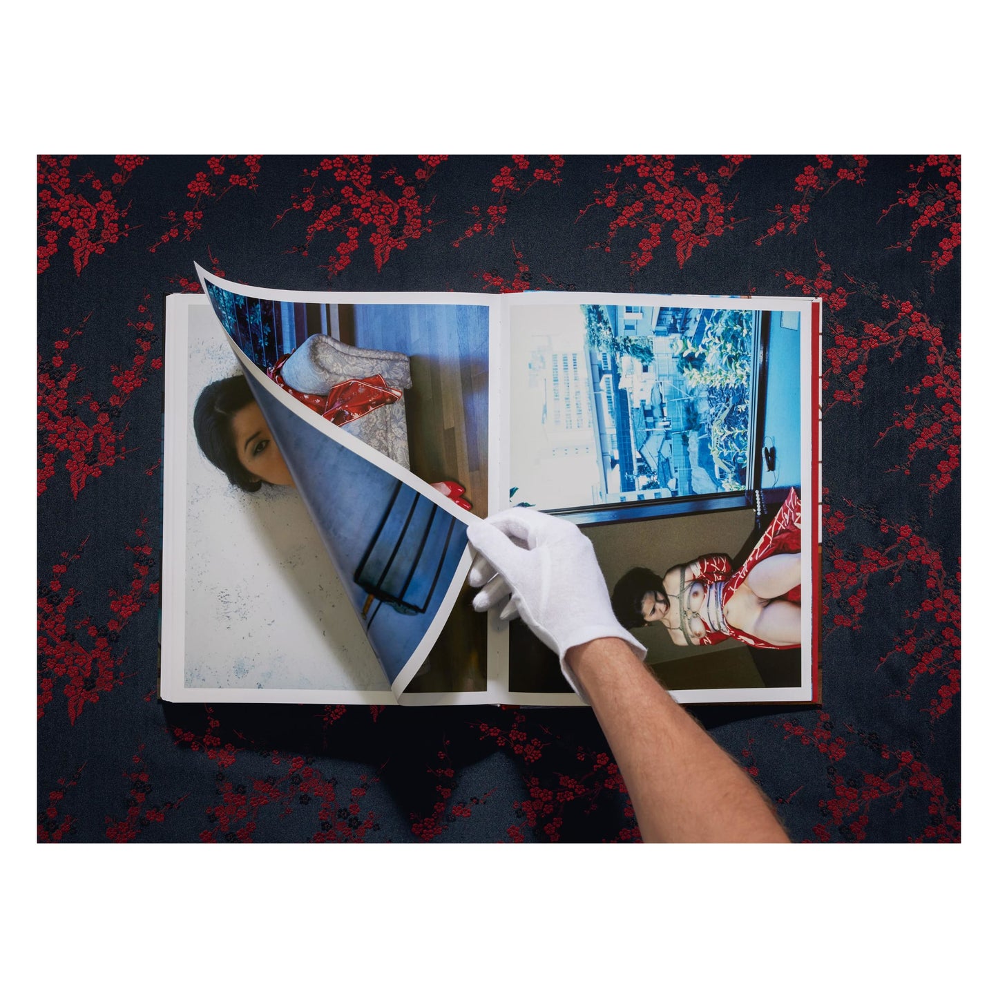 Araki. Bondage (English)