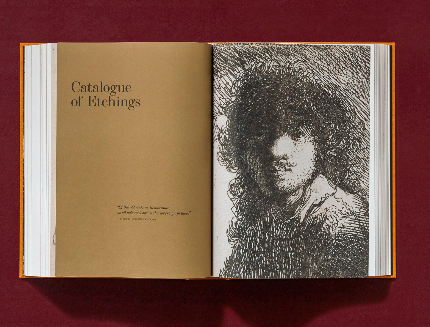 Rembrandt. Alle tekeningen en etsen (Dutch)