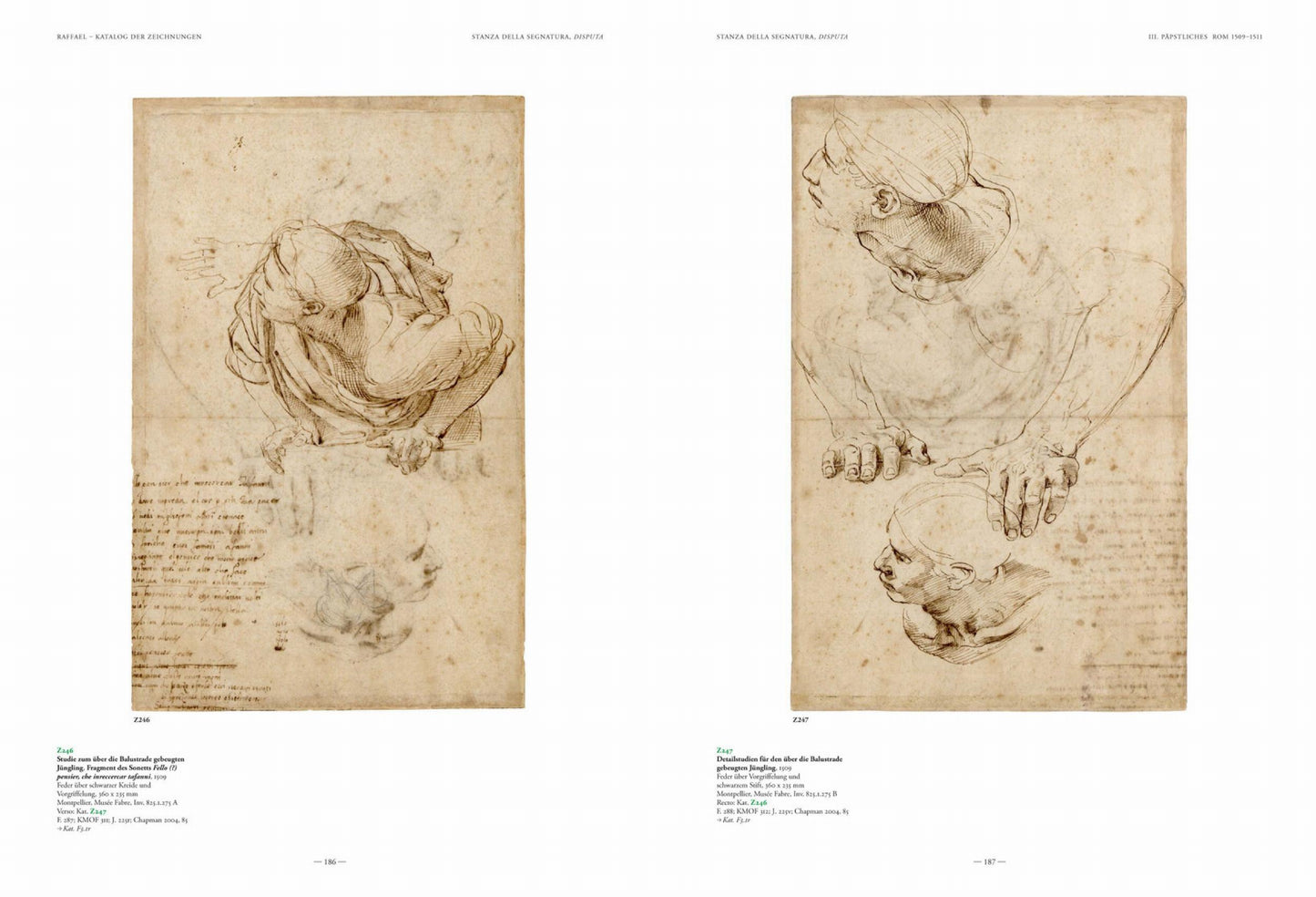 Raphael. The Complete Drawings (English)