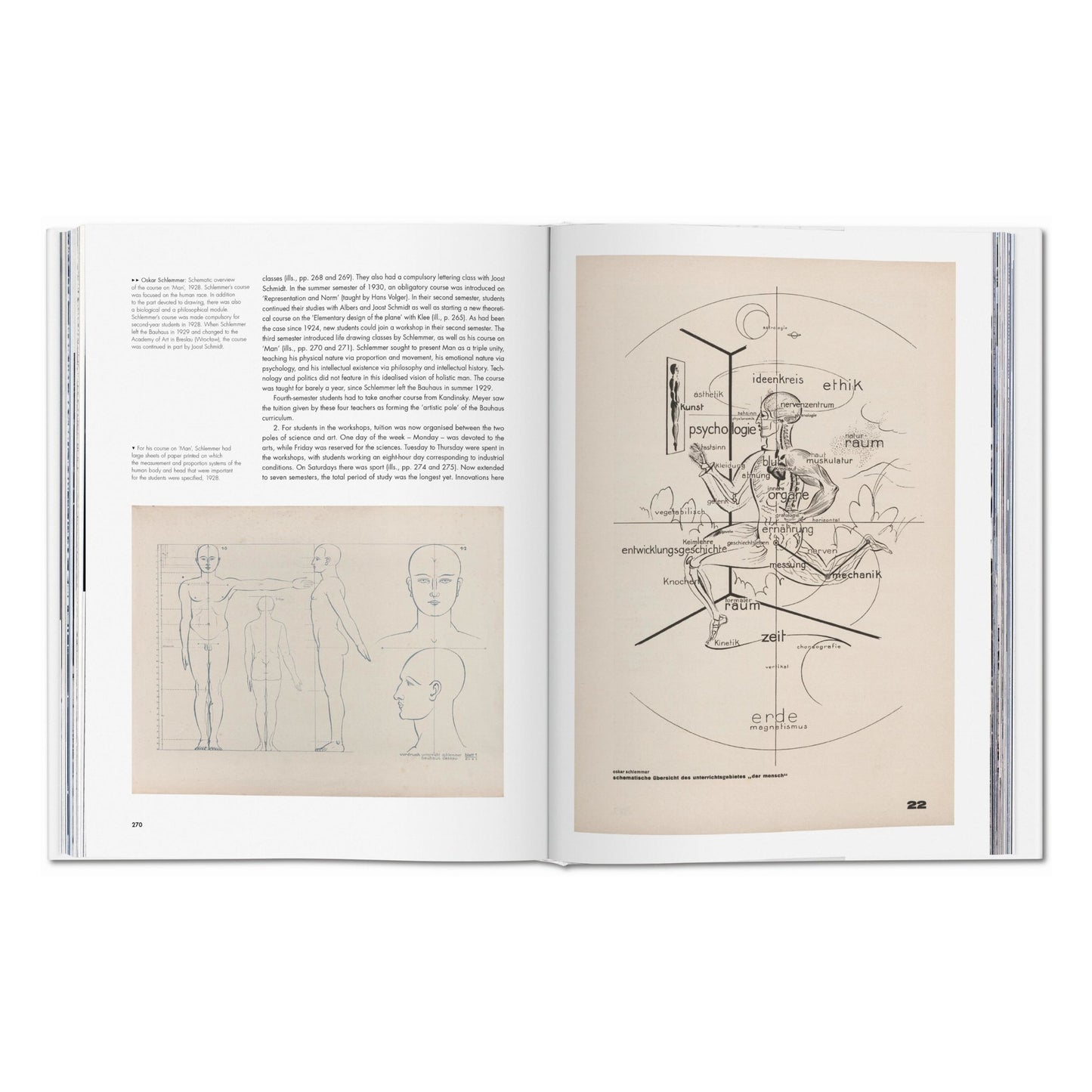 Bauhaus. Edición actualizada (Spanish)
