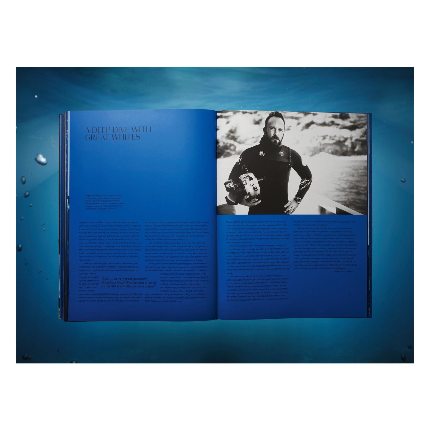 Michael Muller. Sharks (English)