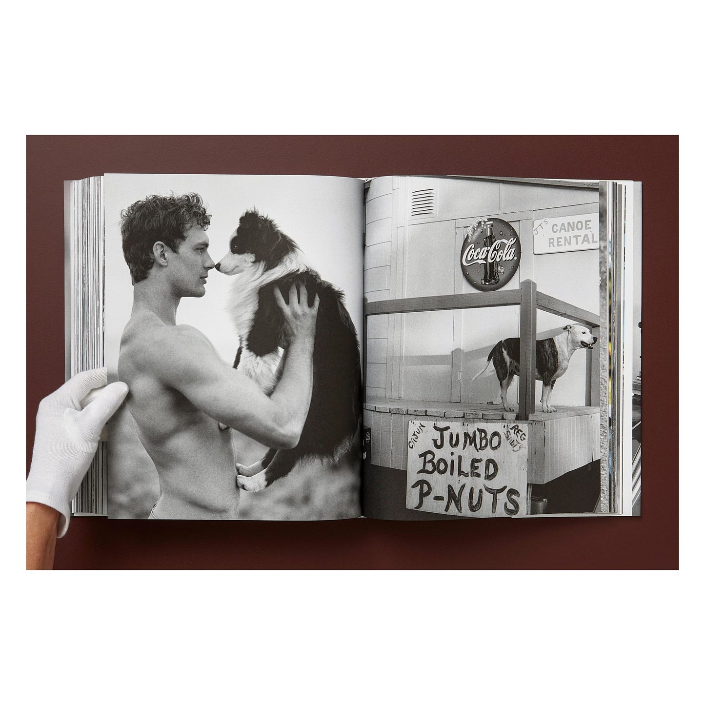 Bruce Weber. The Golden Retriever Photographic Society. Art Edition No. 1–100 ‘Little Bear Ranch, Montana, 1996’ (German, French, English)
