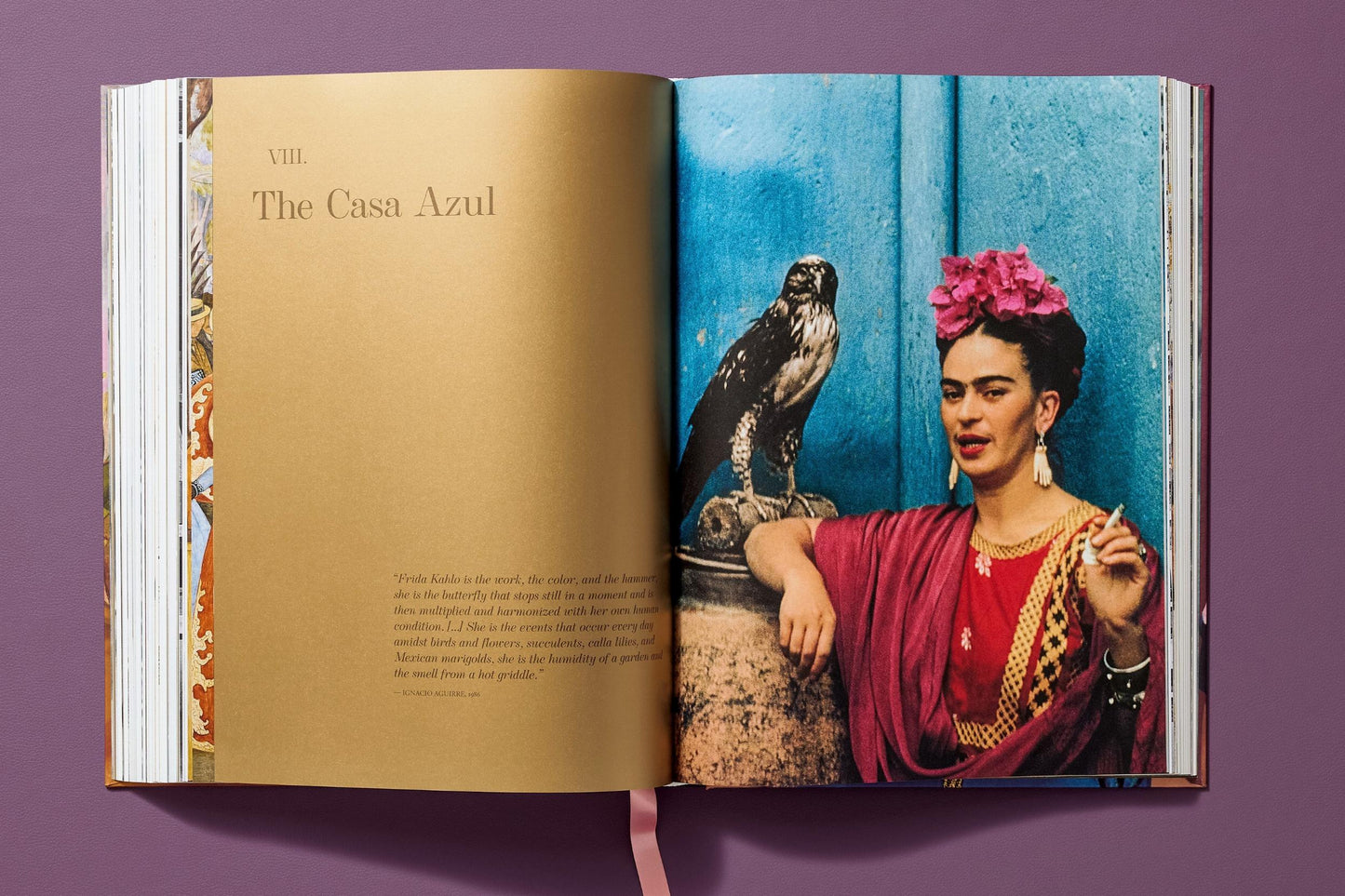 Frida Kahlo. Sämtliche Gemälde (German)