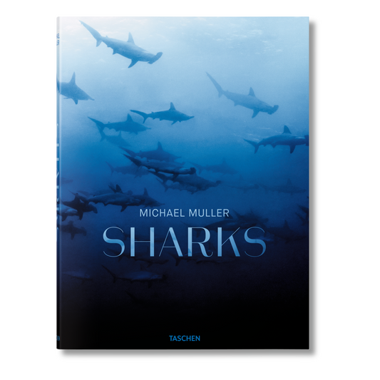Michael Muller. Sharks (English)