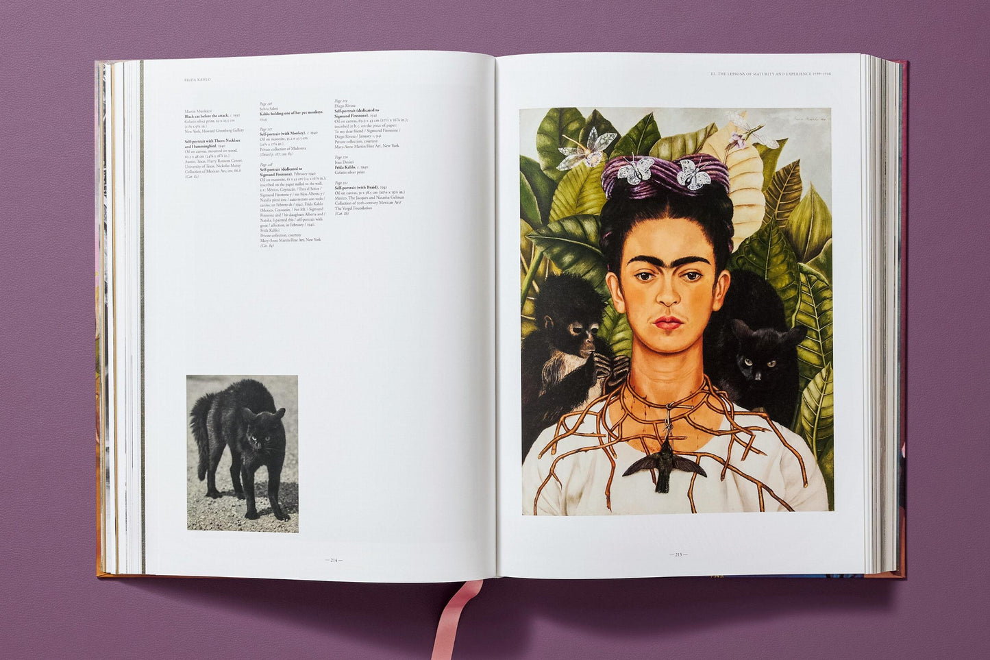 Frida Kahlo. Sämtliche Gemälde (German)