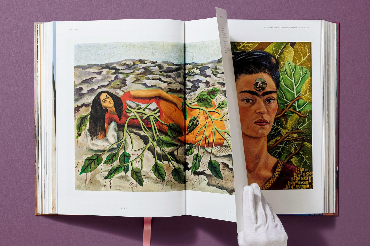 Frida Kahlo. Sämtliche Gemälde (German)