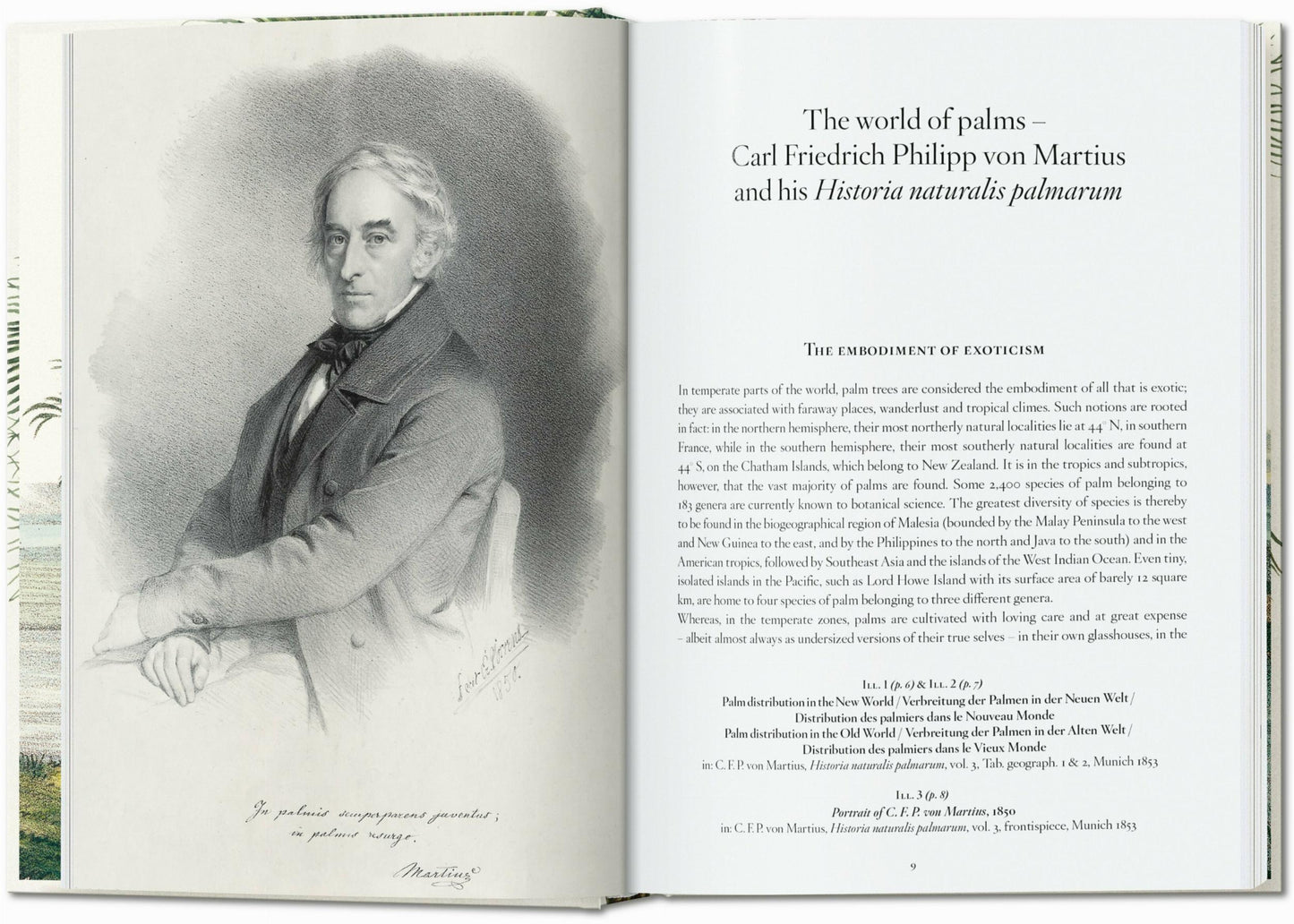 Martius. The Book of Palms. 45th Ed. (German, French, English)