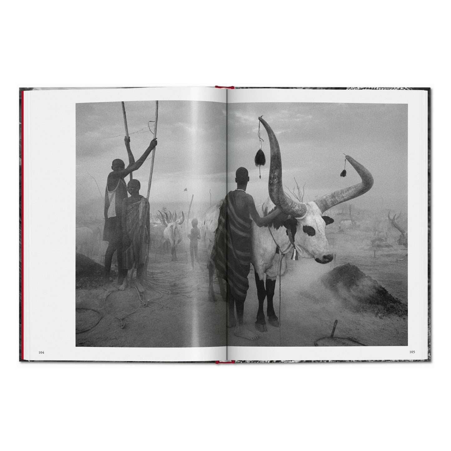 Sebastião Salgado. Genesi (Italian)