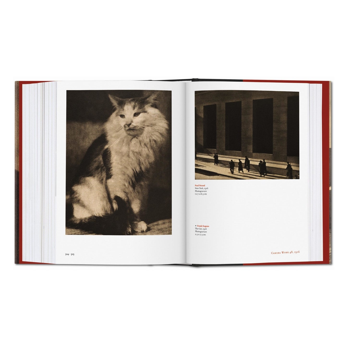 Stieglitz, Camera work (German, English, Polish)