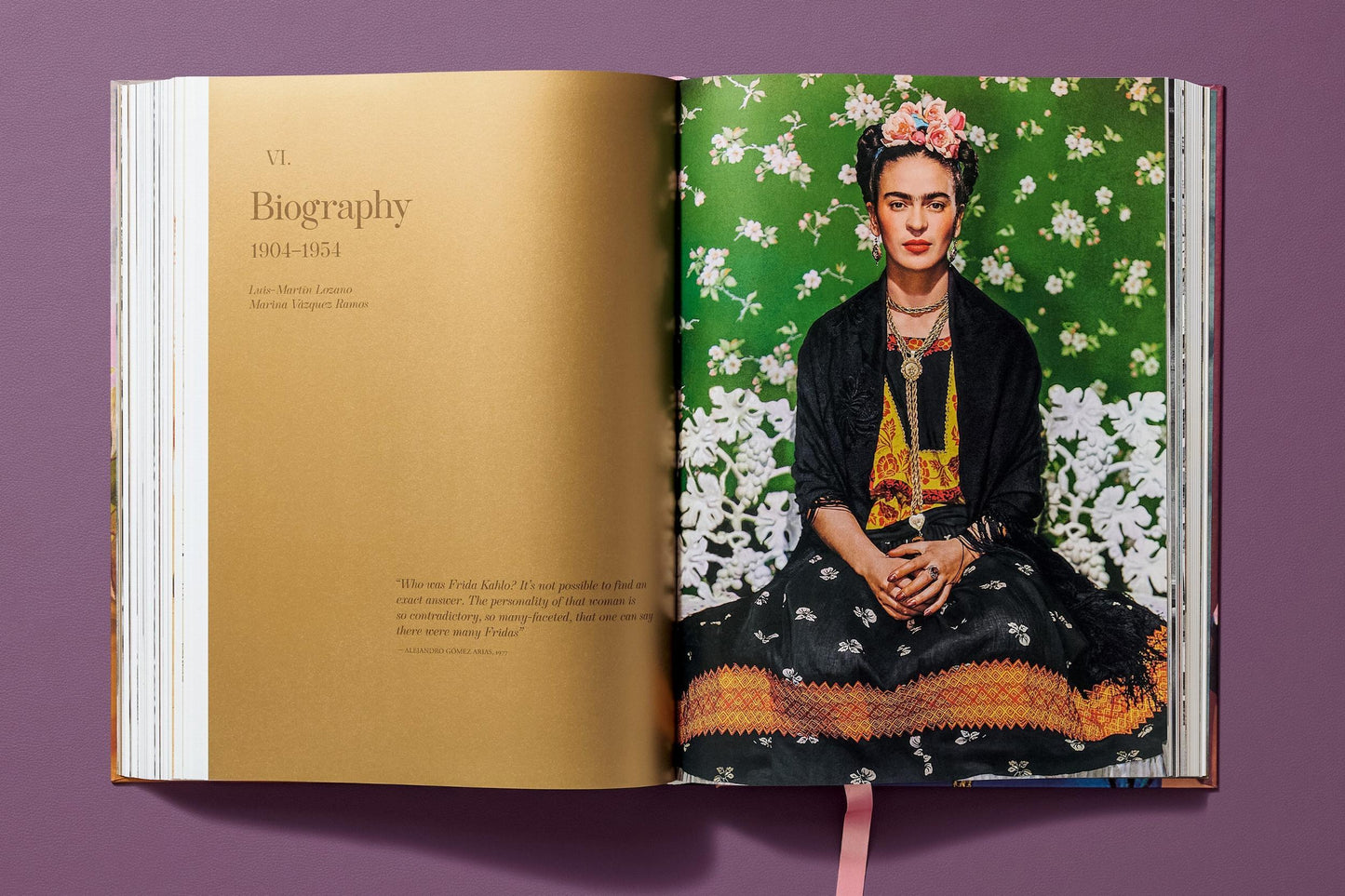 Frida Kahlo. Sämtliche Gemälde (German)