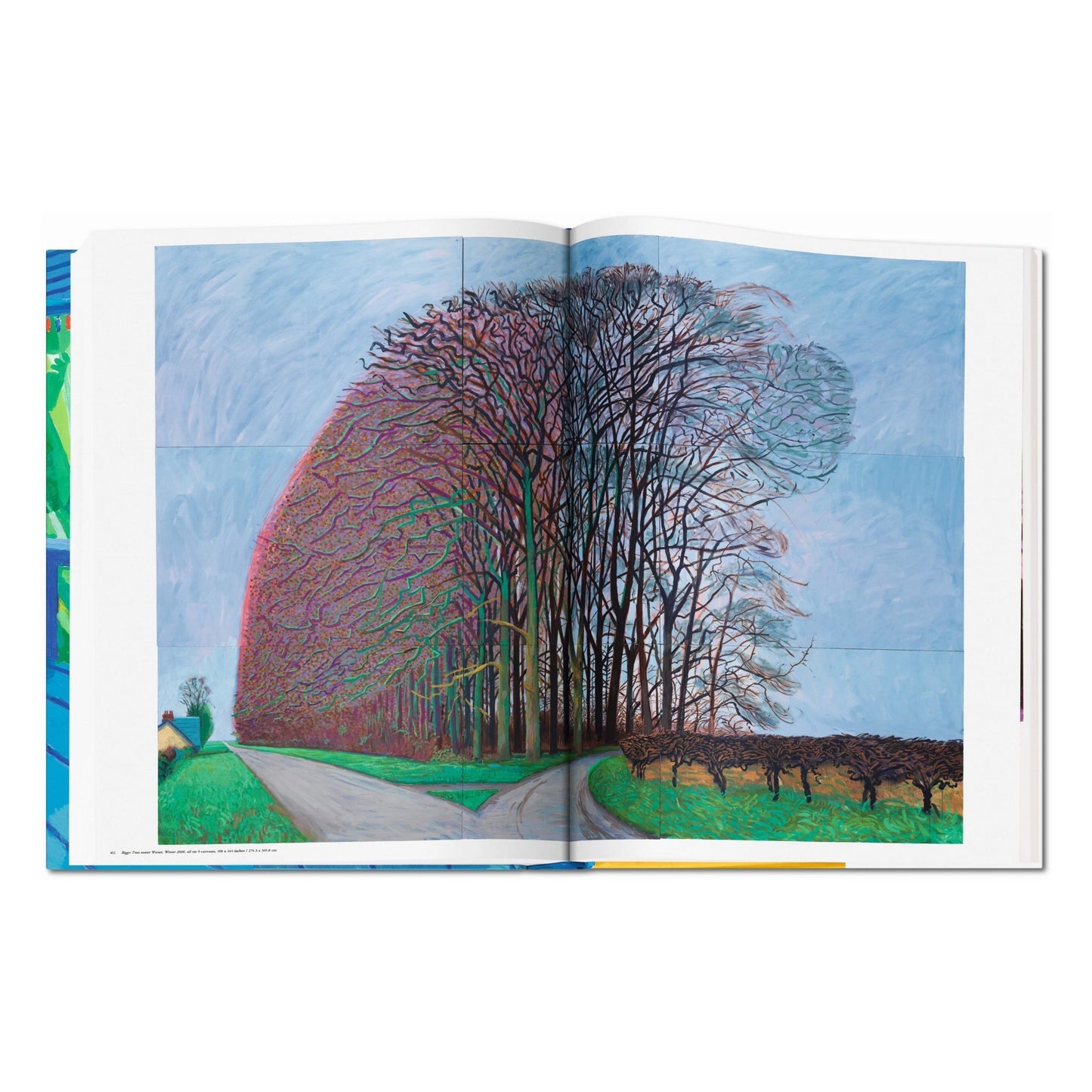 David Hockney. A Bigger Book (English) (SA)