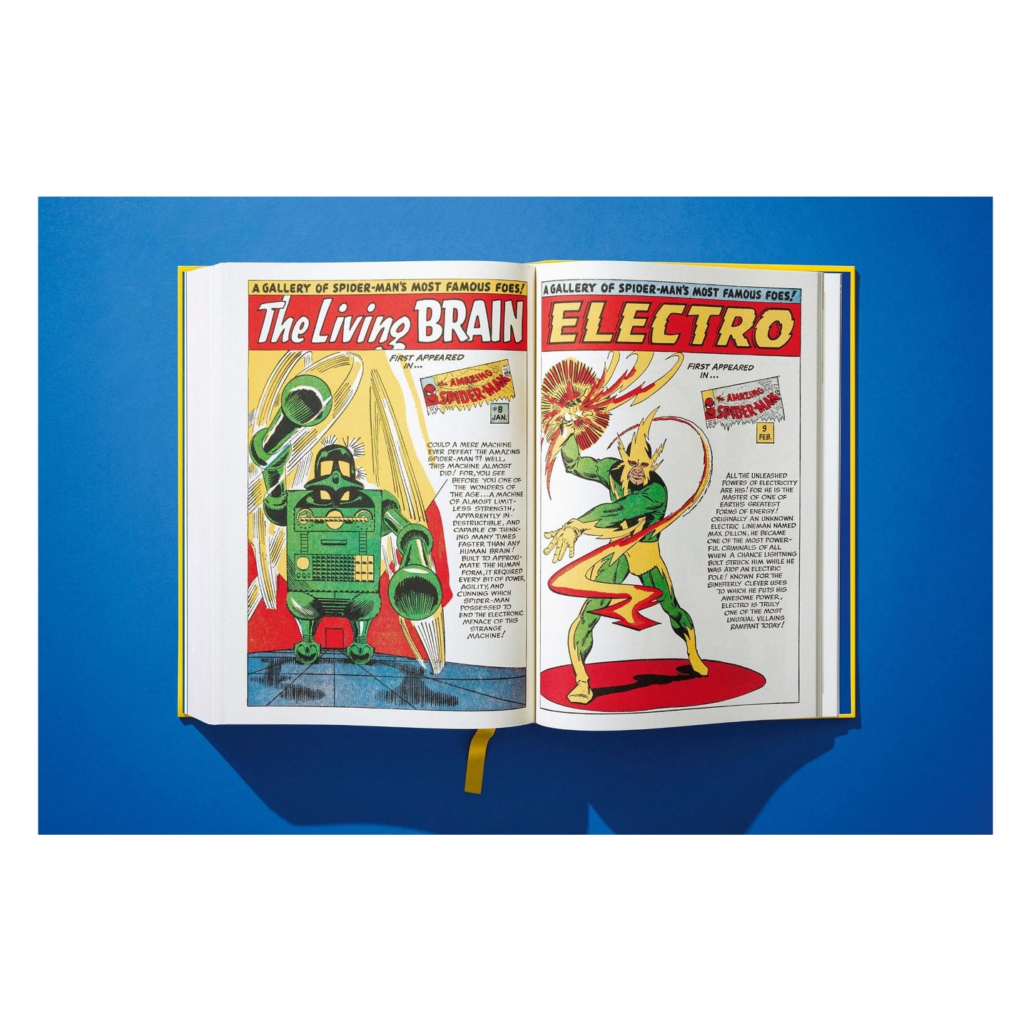 Marvel Comics Library, Spider-Man, Vol. 1, 1962-1964 (English) (AP)