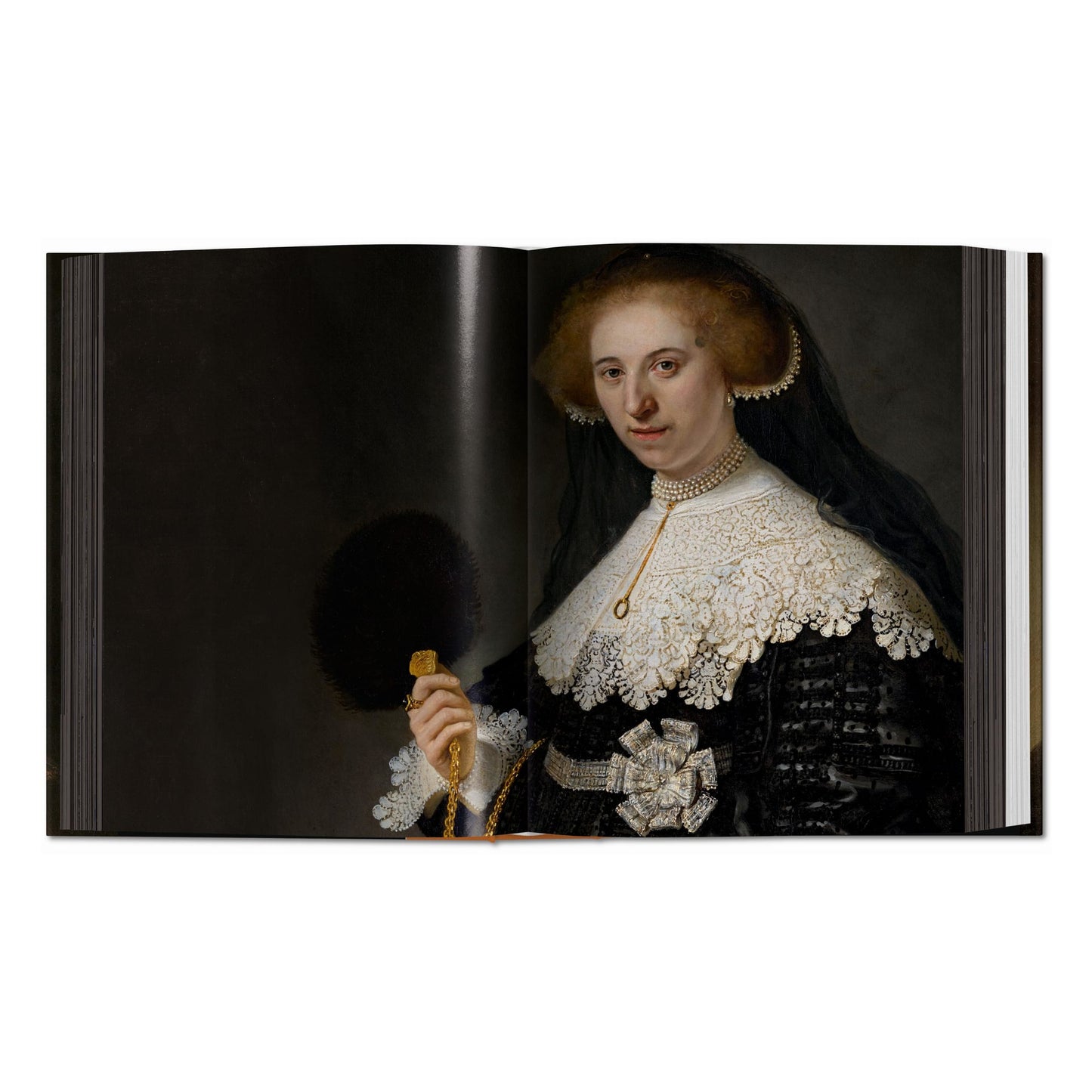 Rembrandt. Sämtliche Gemälde (German)