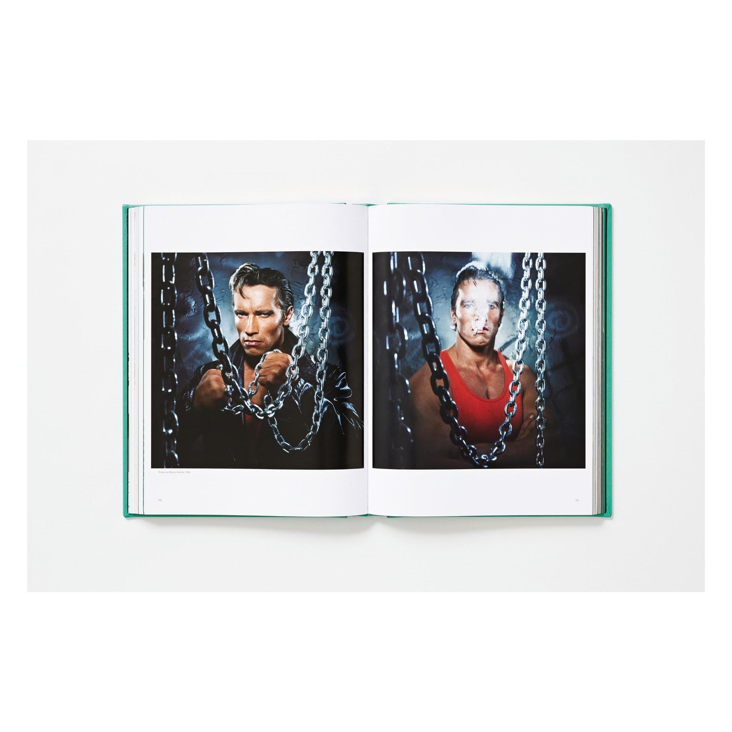 ARNOLD. Annie Leibovitz Art Edition (English)