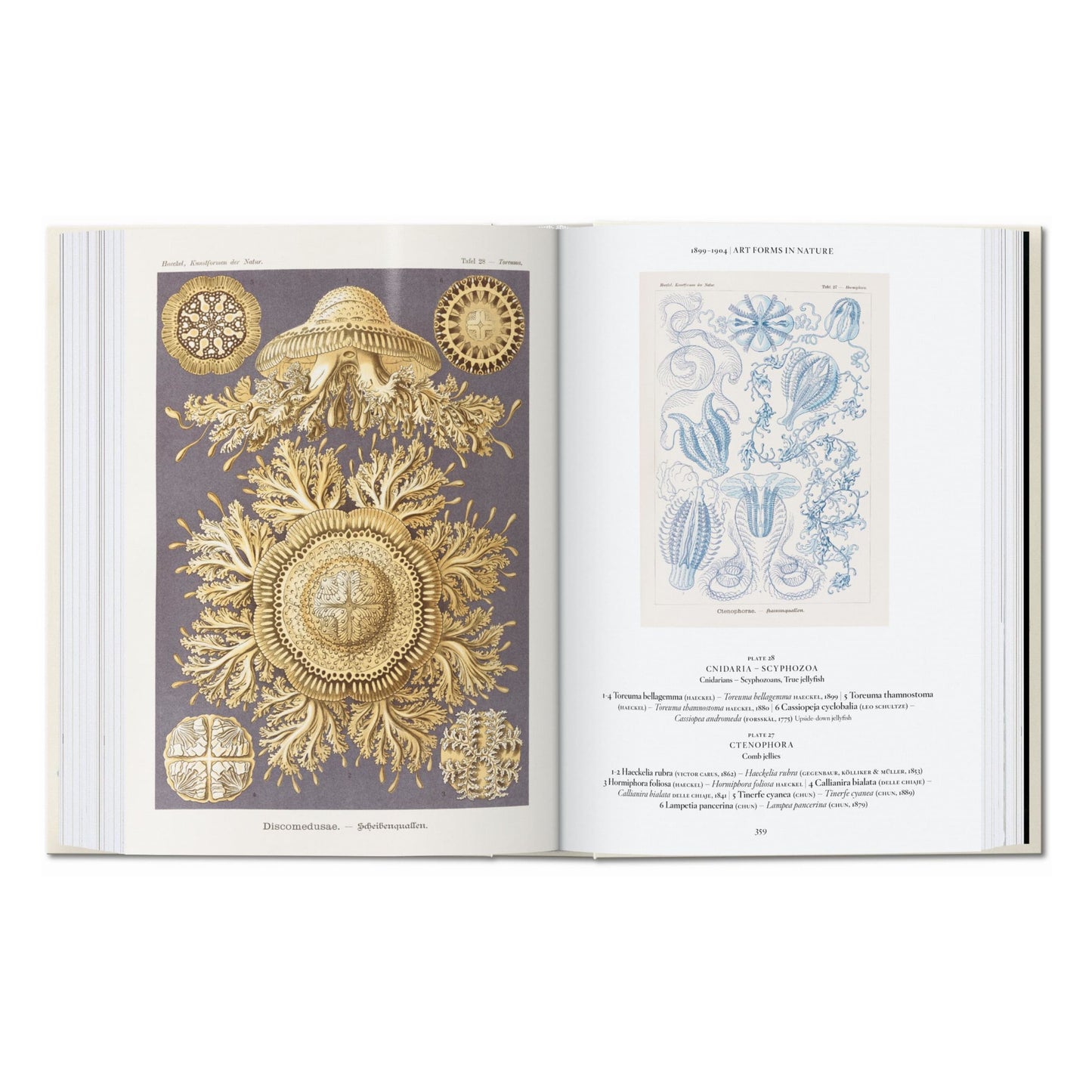L’art et la science de Ernst Haeckel. 45th Ed. (French)