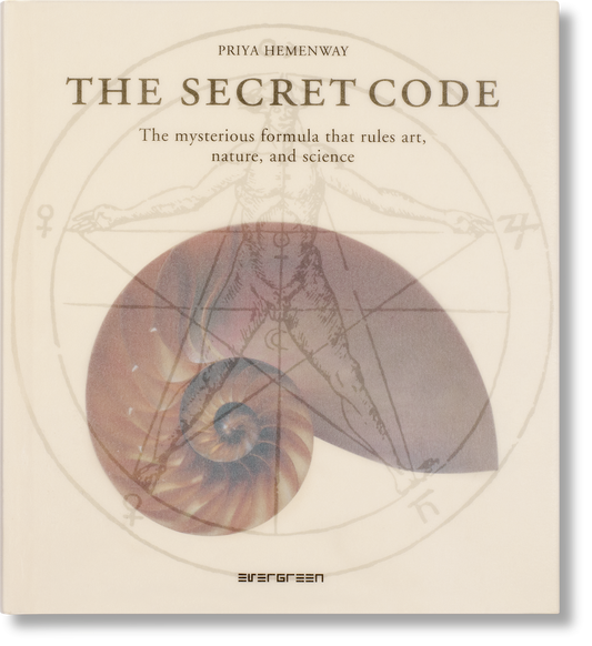 The Secret Code (Japanese)