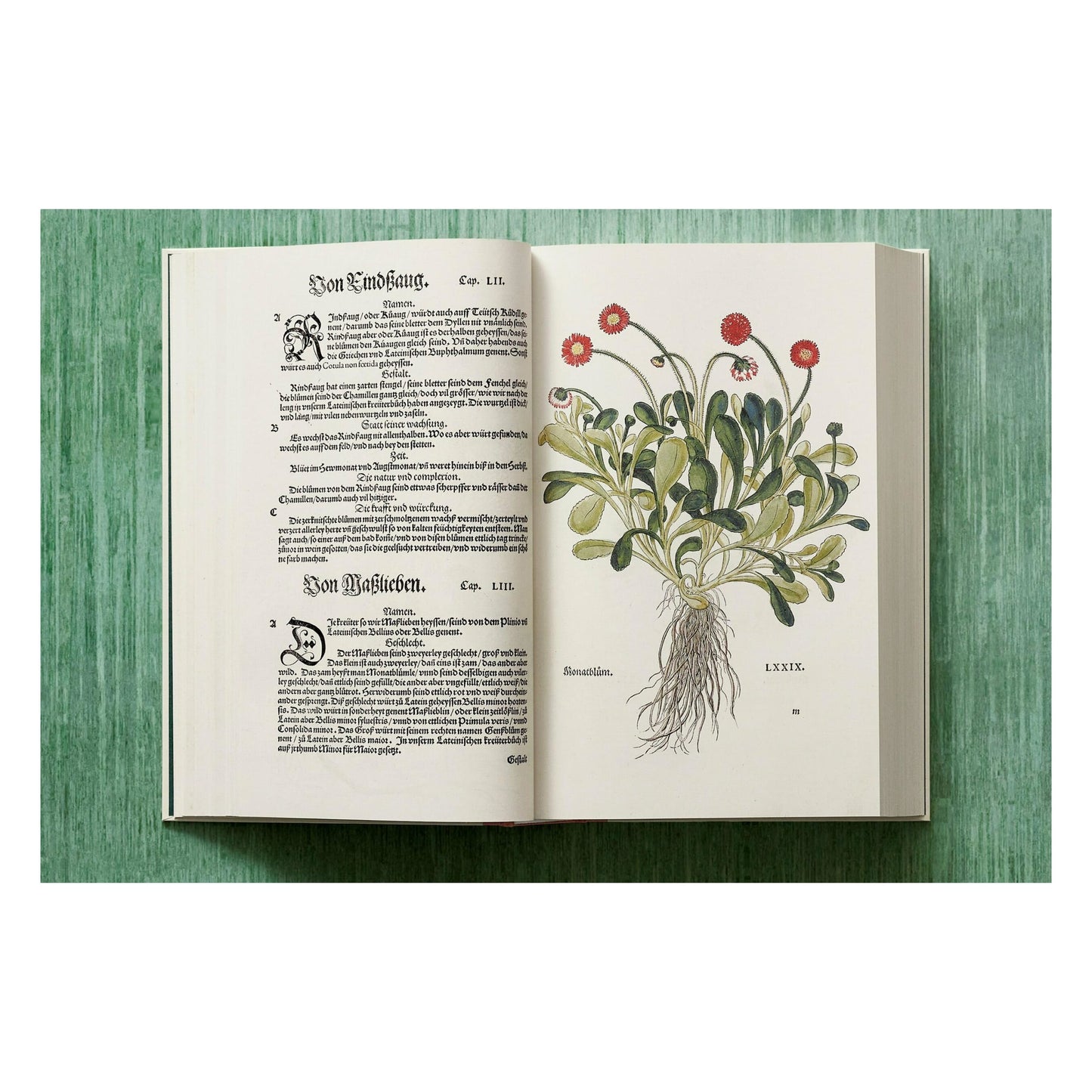Leonhart Fuchs. The New Herbal (English)