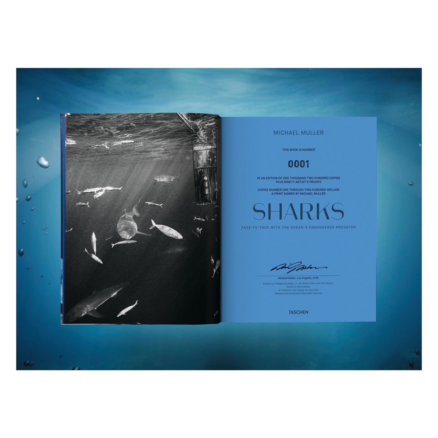 Michael Muller. Sharks, Art Edition No. 101–200 ‘Under Study’ (English)