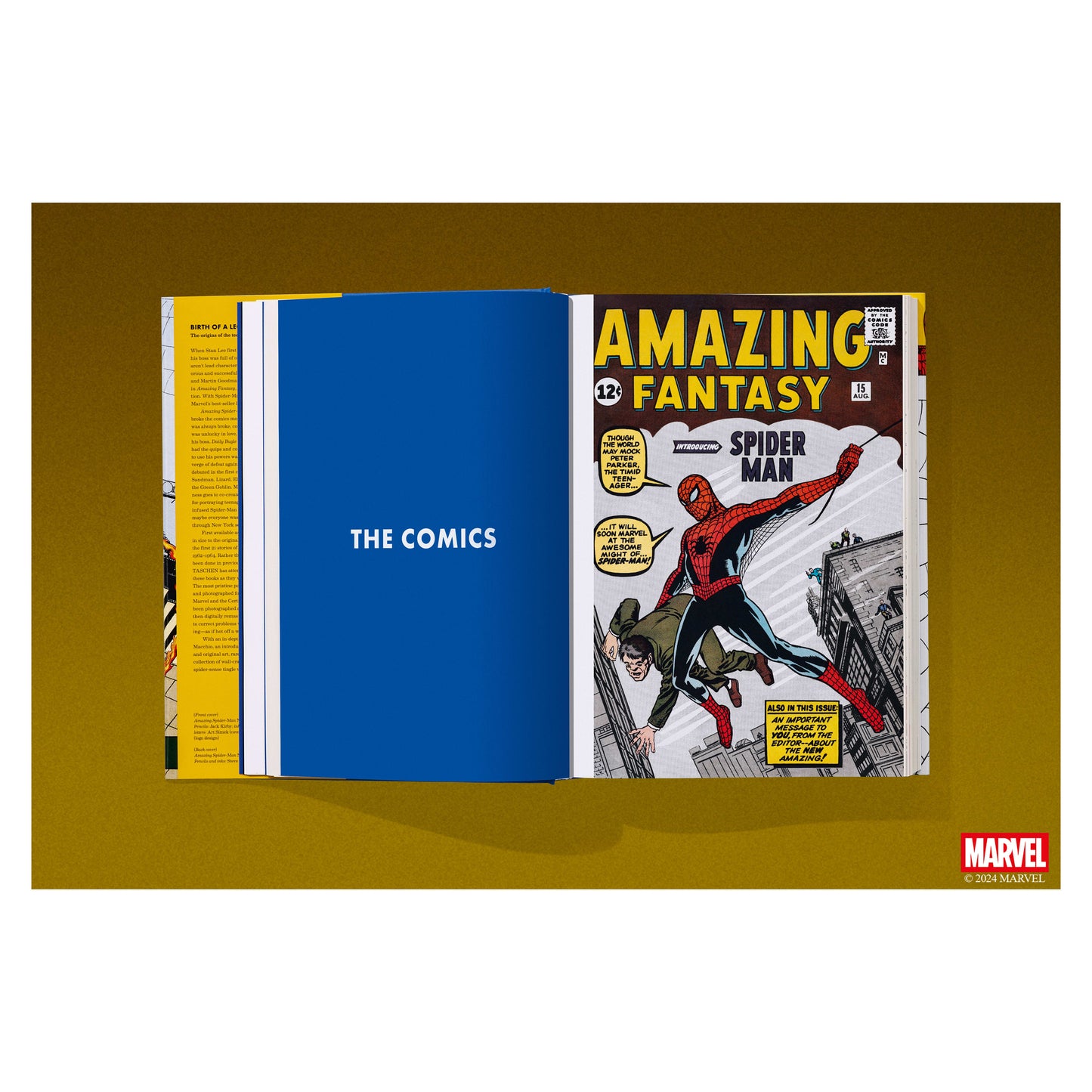 Marvel Comics Library. Spider-Man. 1962–1964 (English)