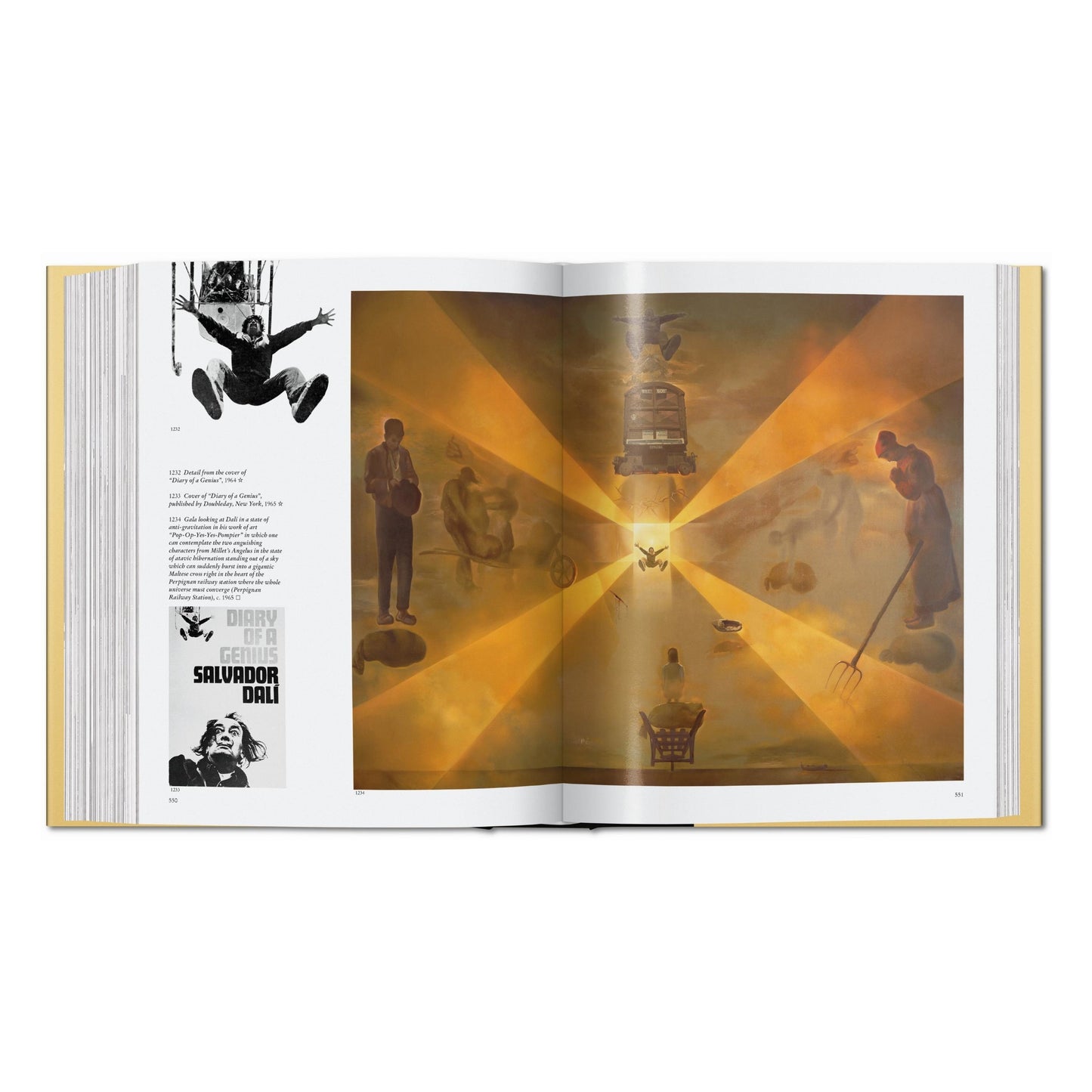 Dalí. L'œuvre peint (French)