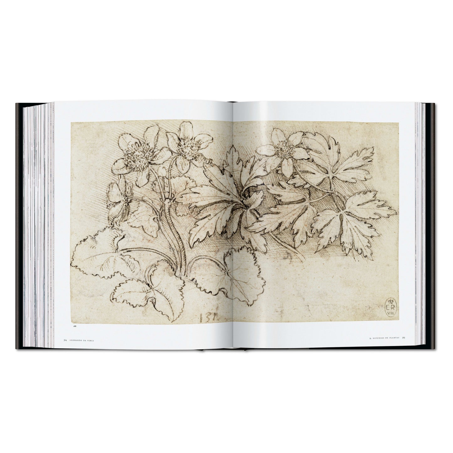 Leonardo. Obra pictórica completa y obra gráfica (Spanish)