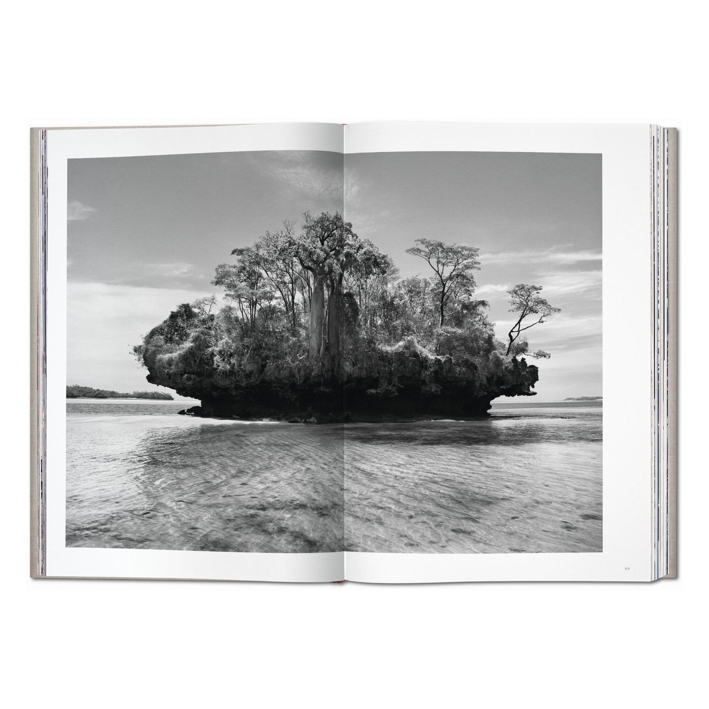 Sebastião Salgado. Genesis (English) (AP)