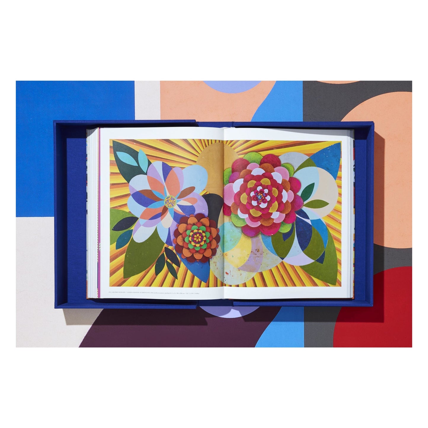 Beatriz Milhazes. Art Edition (German, French, English) (AP)