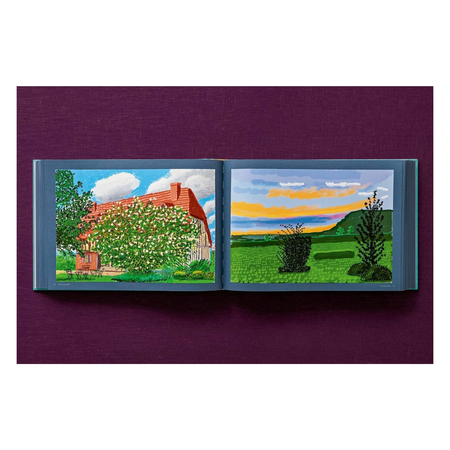 David Hockney. 220 for 2020 (English)
