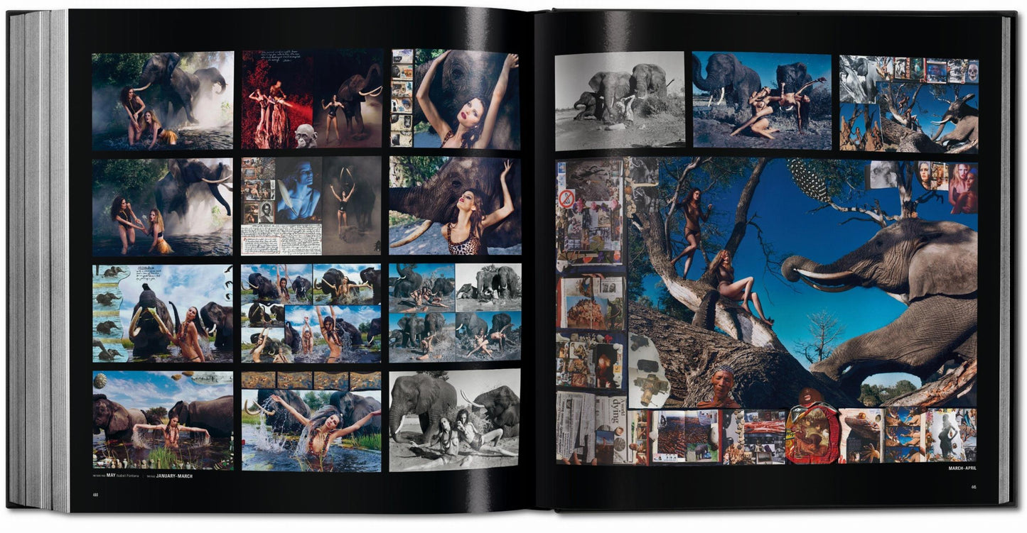 Pirelli. The Calendar. 50 Years and More (English)