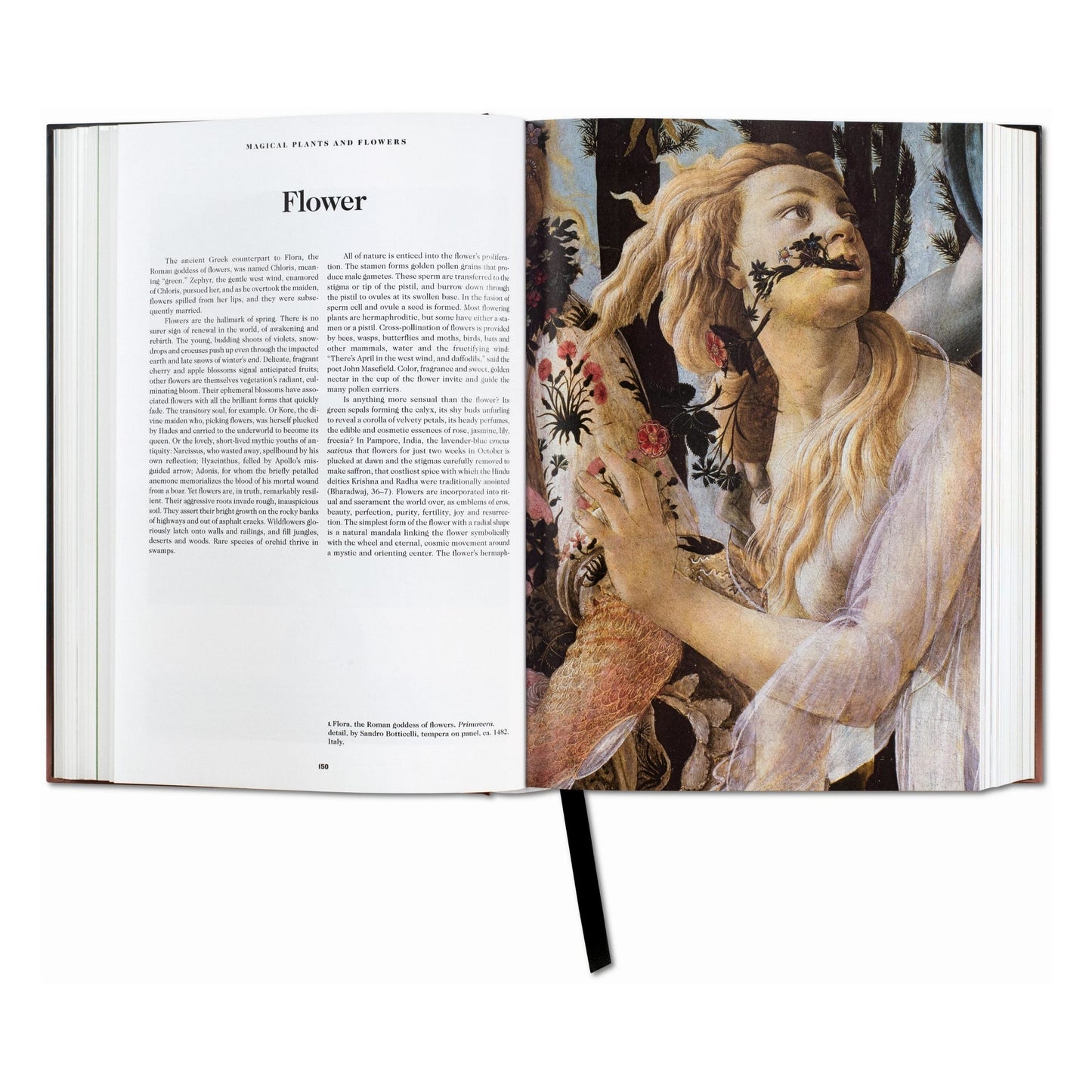 Le Livre des Symboles. Réflexions sur des images archétypales (French)