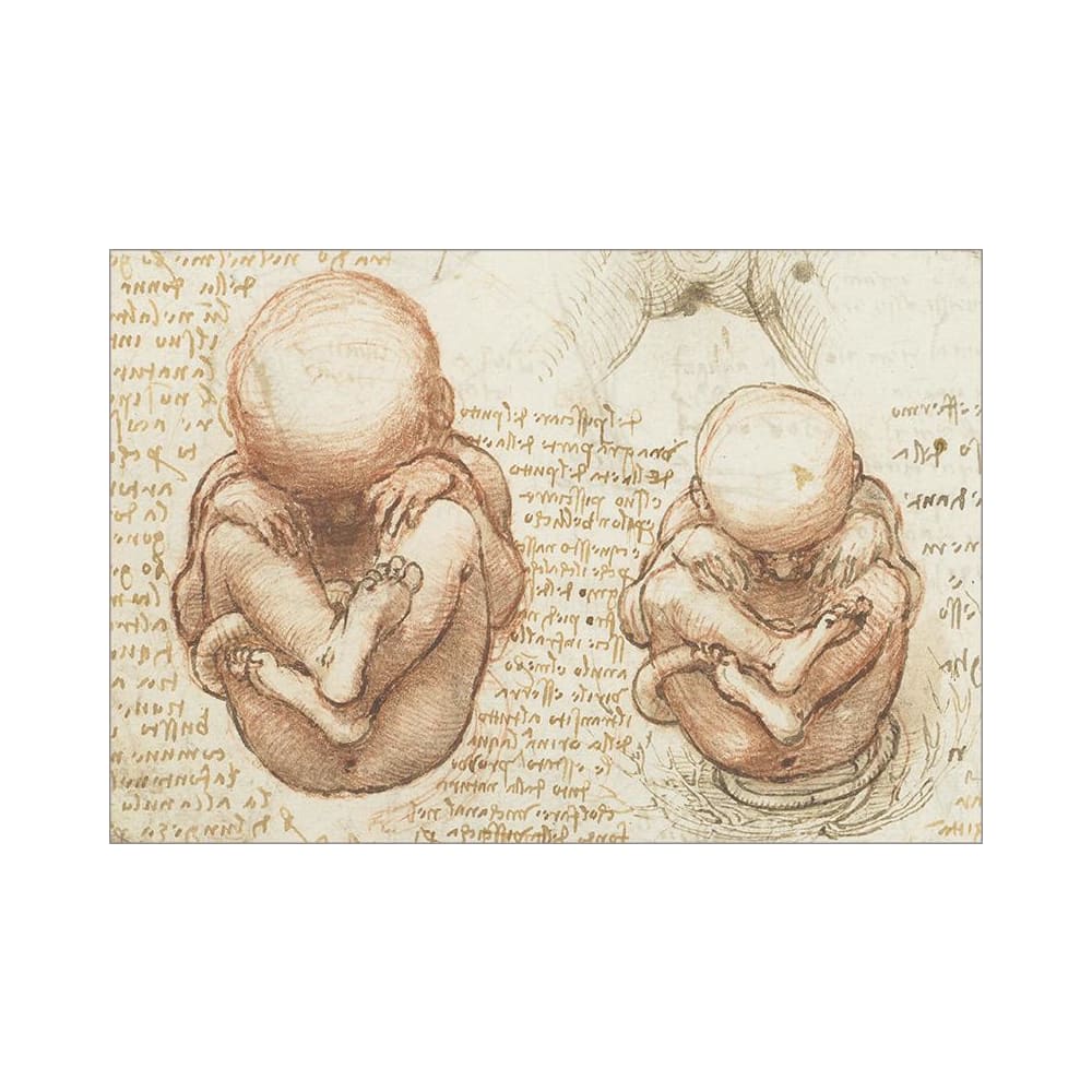 Leonardo. The Complete Paintings and Drawings (English)