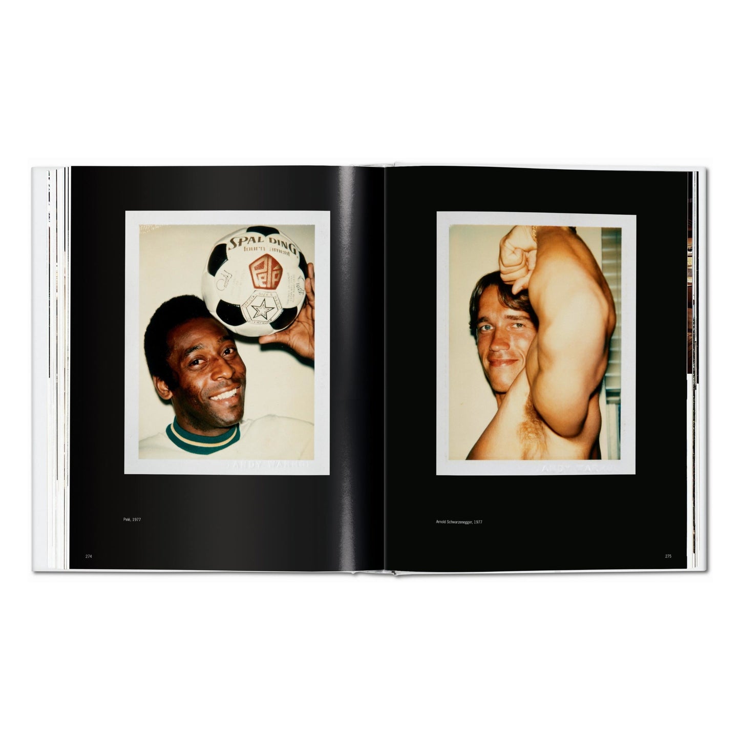 Andy Warhol. Polaroids 1958-1987 (German, French, English)
