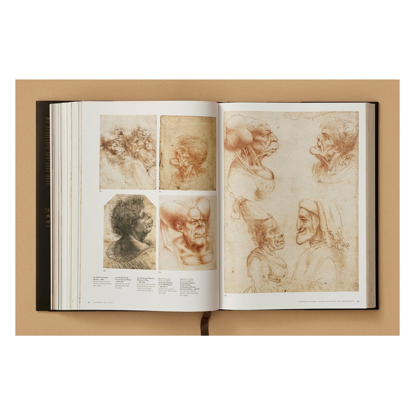 Leonardo. Sämtliche Gemälde und Zeichnungen (German)