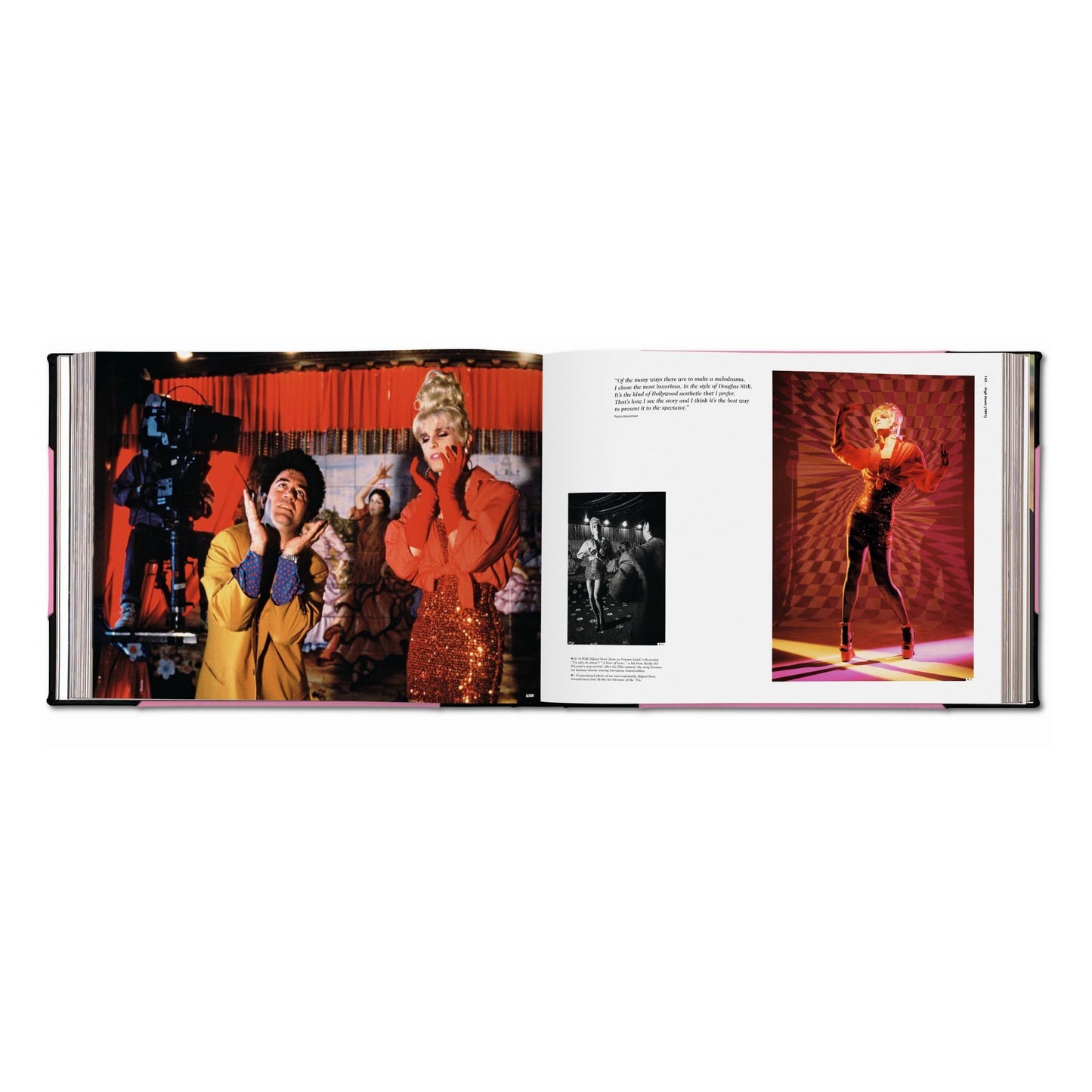 The Pedro Almodóvar Archives. Art Edition (English) (SA)