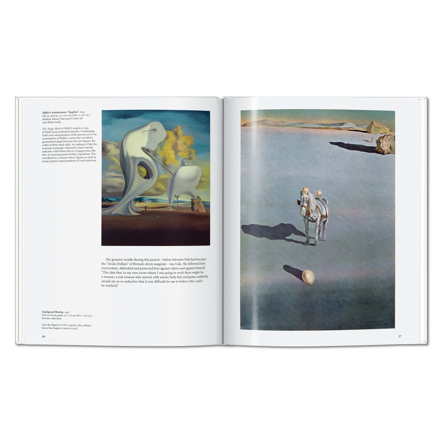 Dalí (Spanish)