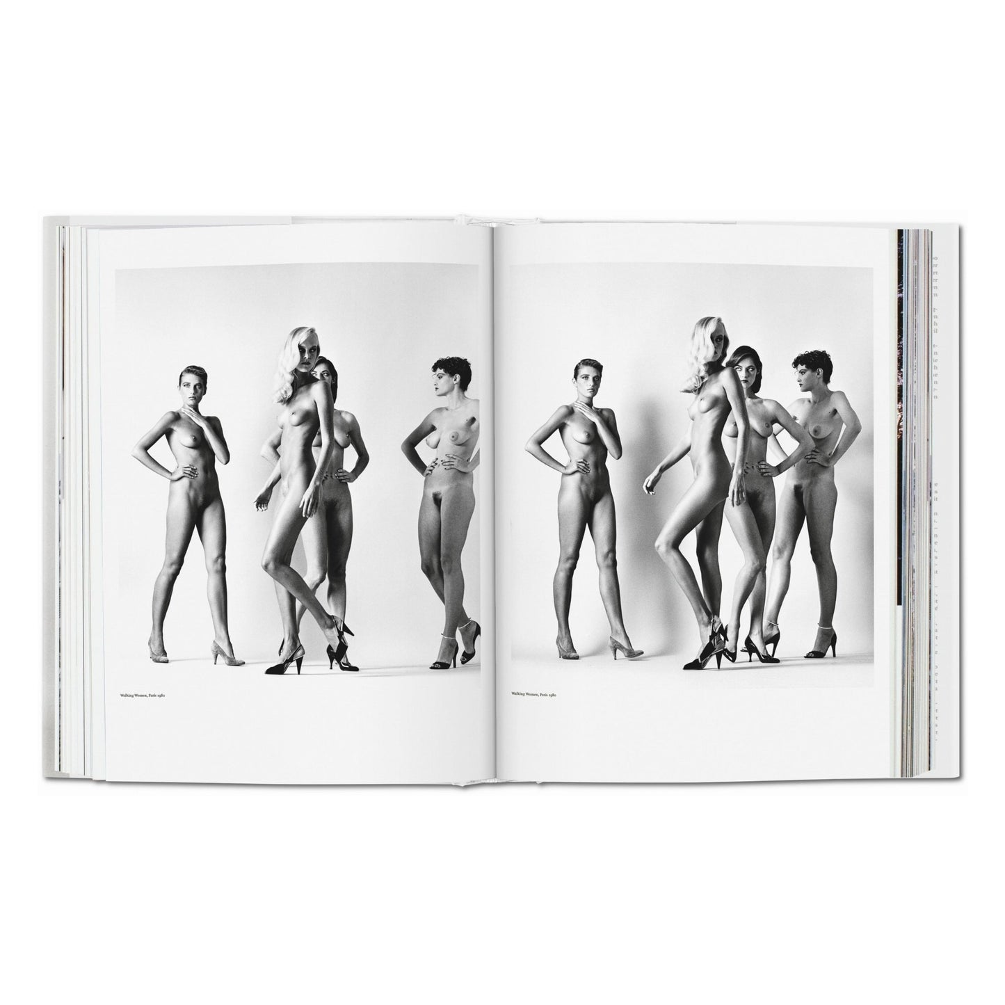 Helmut Newton. BABY SUMO (German, French, English) (SA)