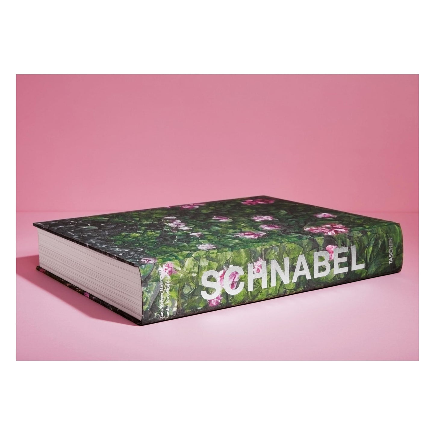 Julian Schnabel (German, French, English)