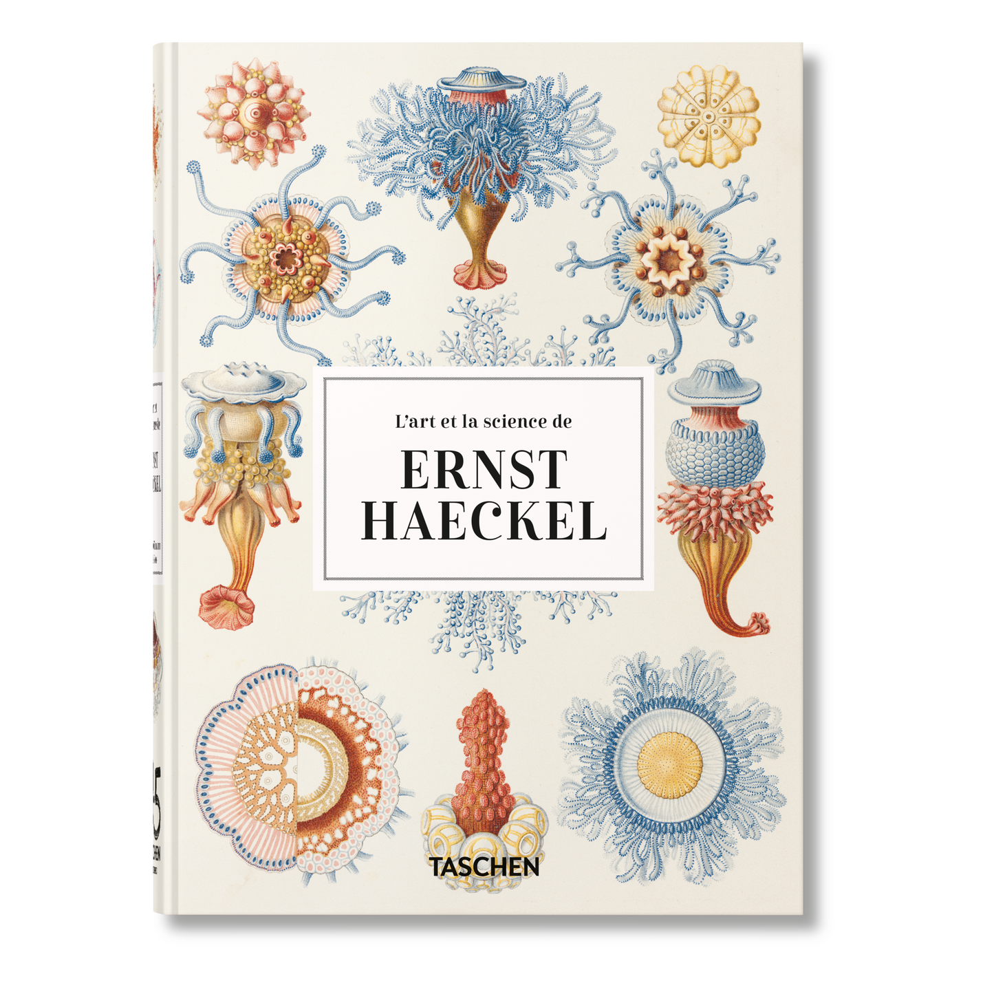 L’art et la science de Ernst Haeckel. 45th Ed. (French)