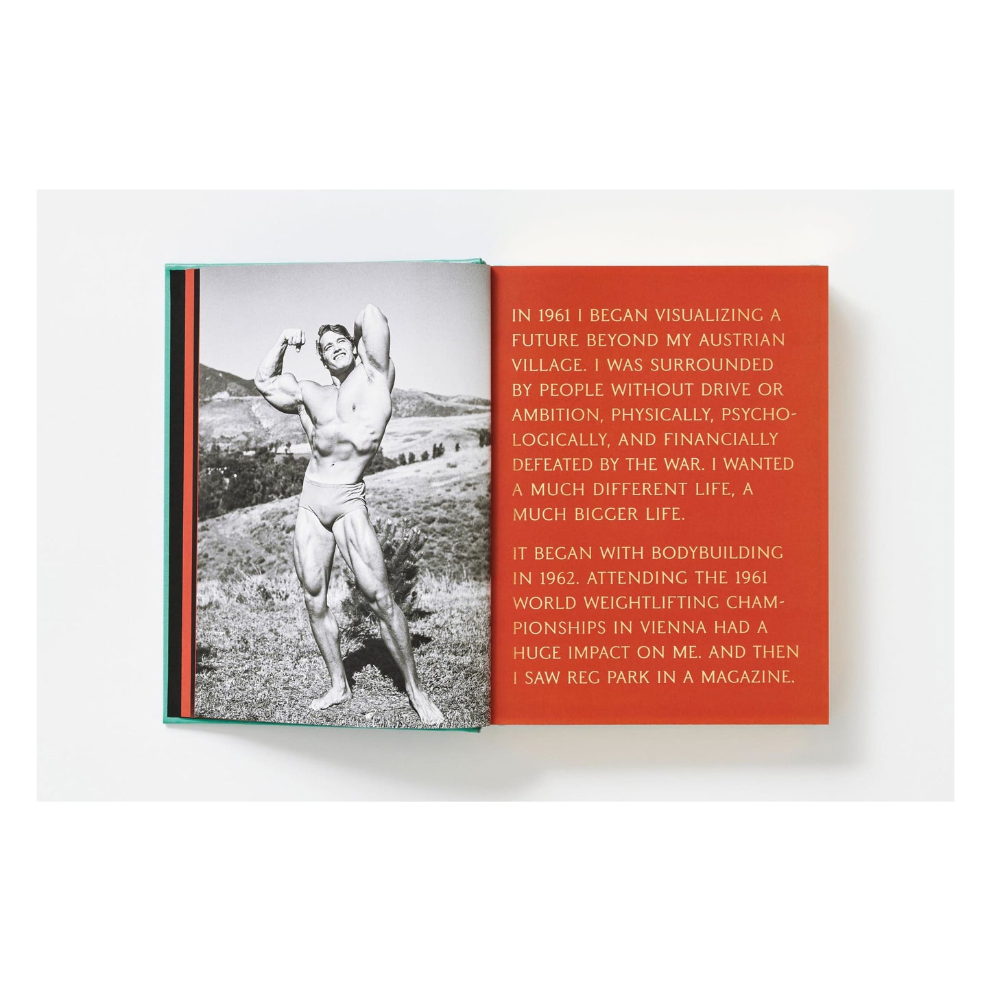 ARNOLD. Collector's Edition (English) (SA)