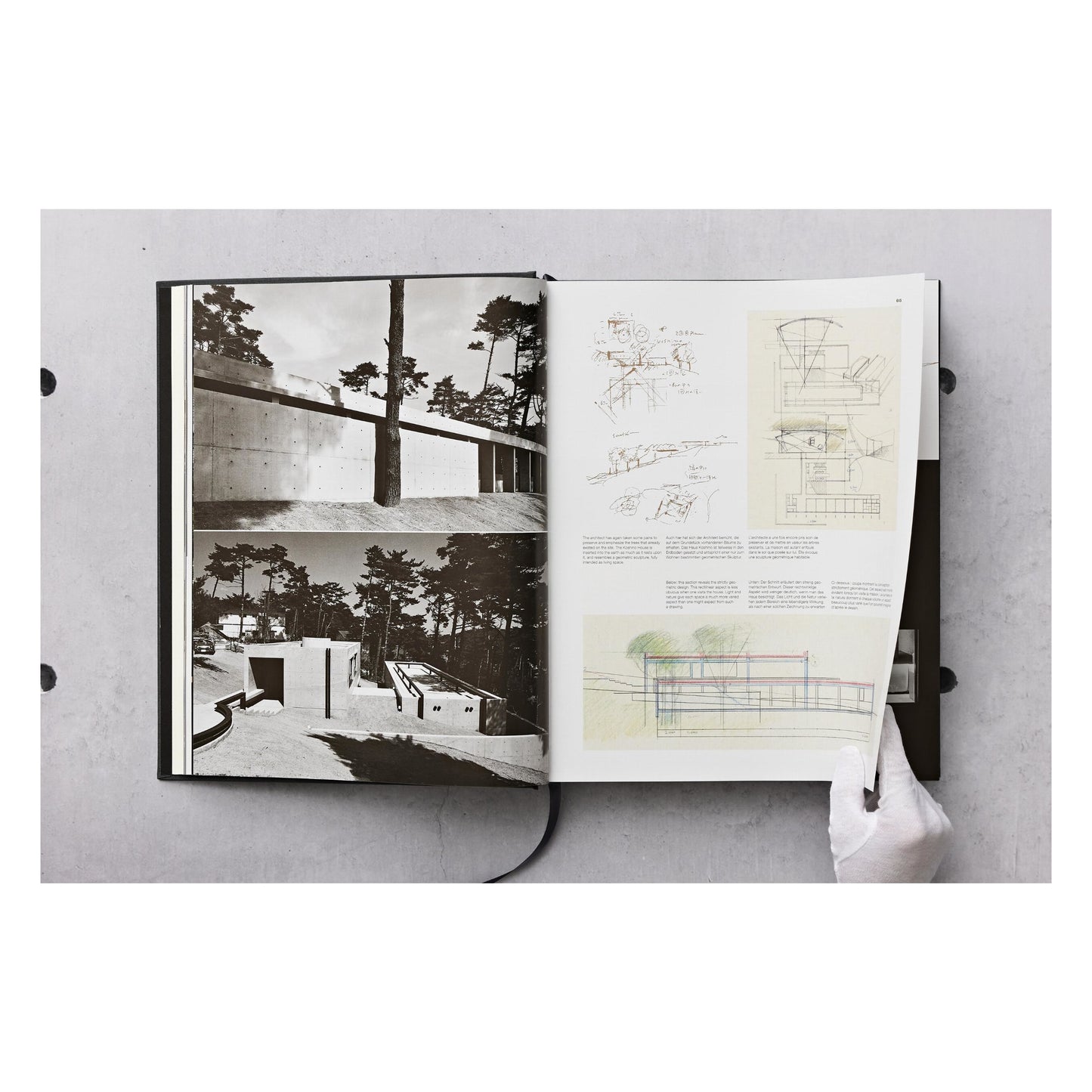 Ando. Complete Works 1975–Today. Art Edition (German, French, English) (SA)