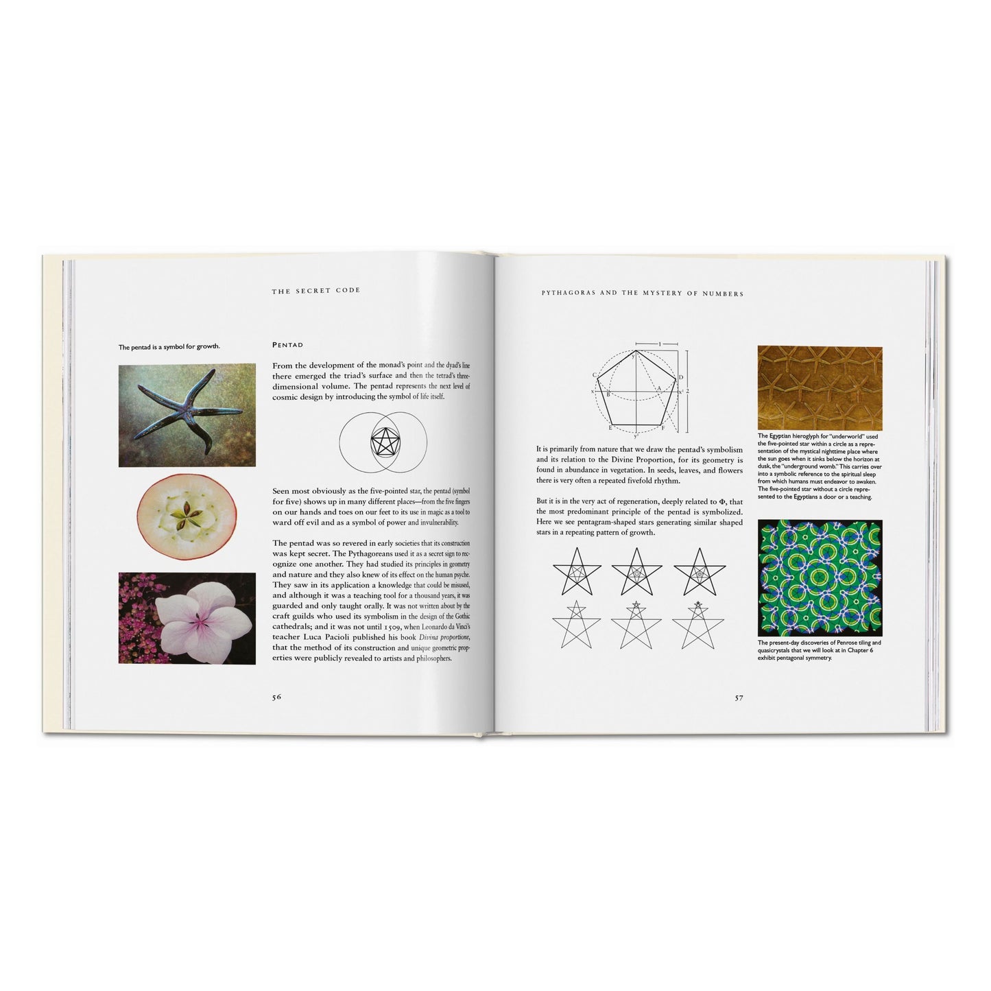 The Secret Code (English)