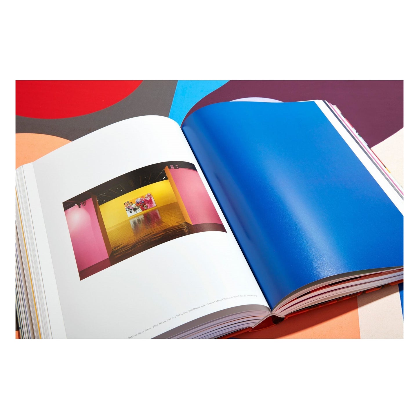 Beatriz Milhazes. Art Edition (German, French, English) (SA)