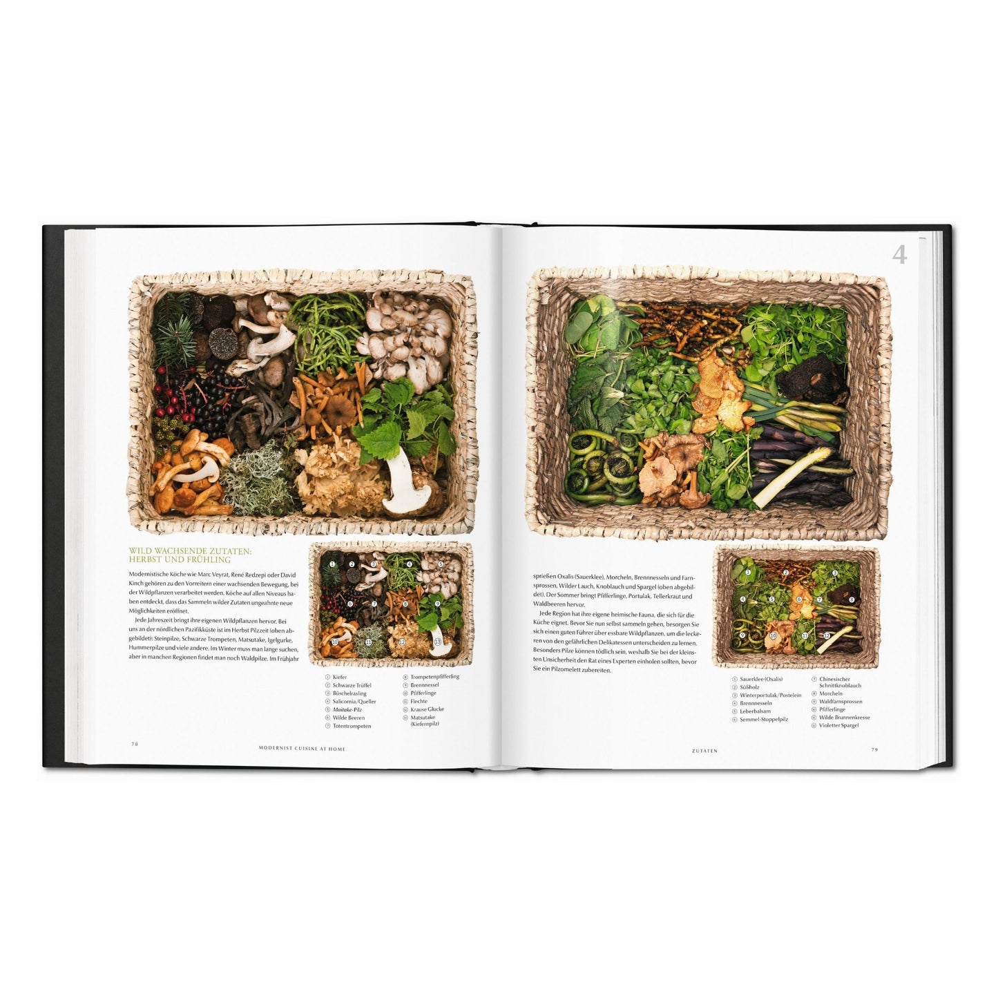 Modernist Cuisine at Home (French)