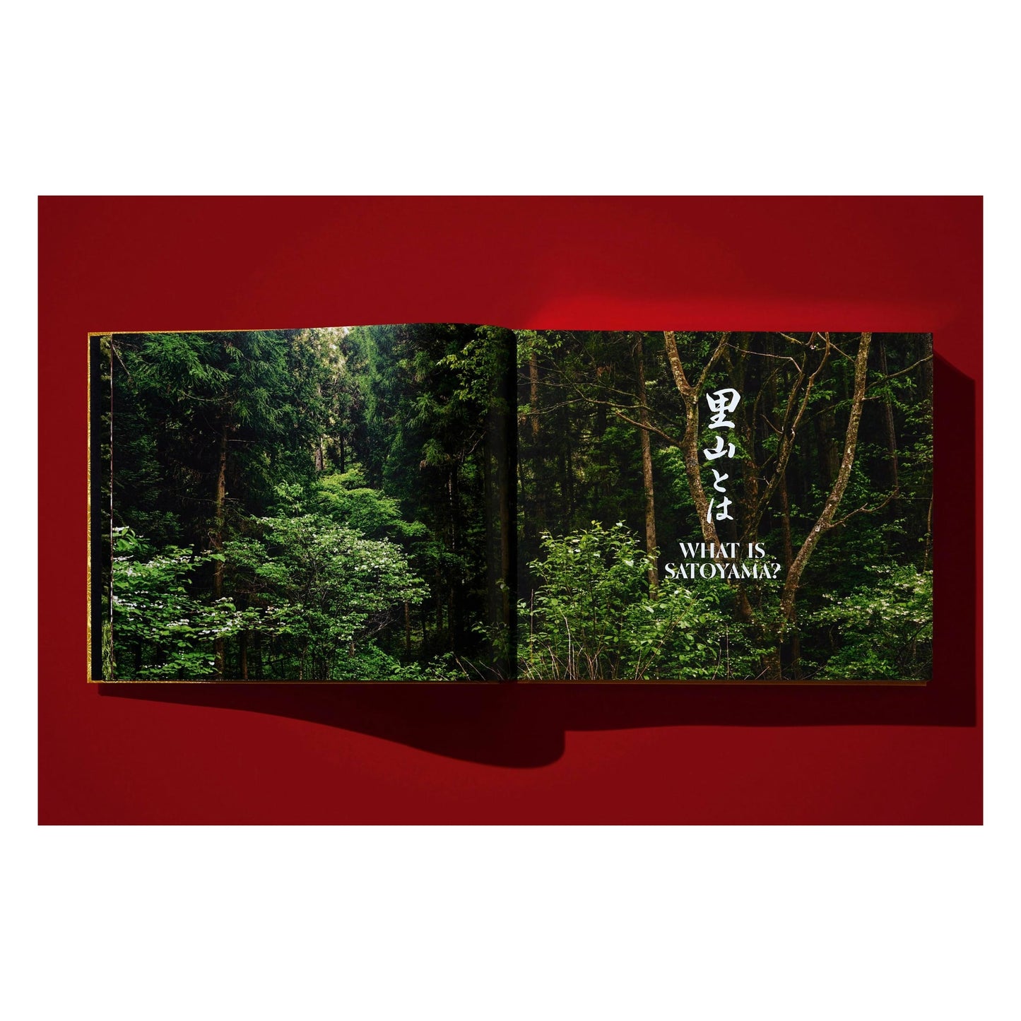 Yoshihiro Narisawa. Satoyama Cuisine (English) (SA)