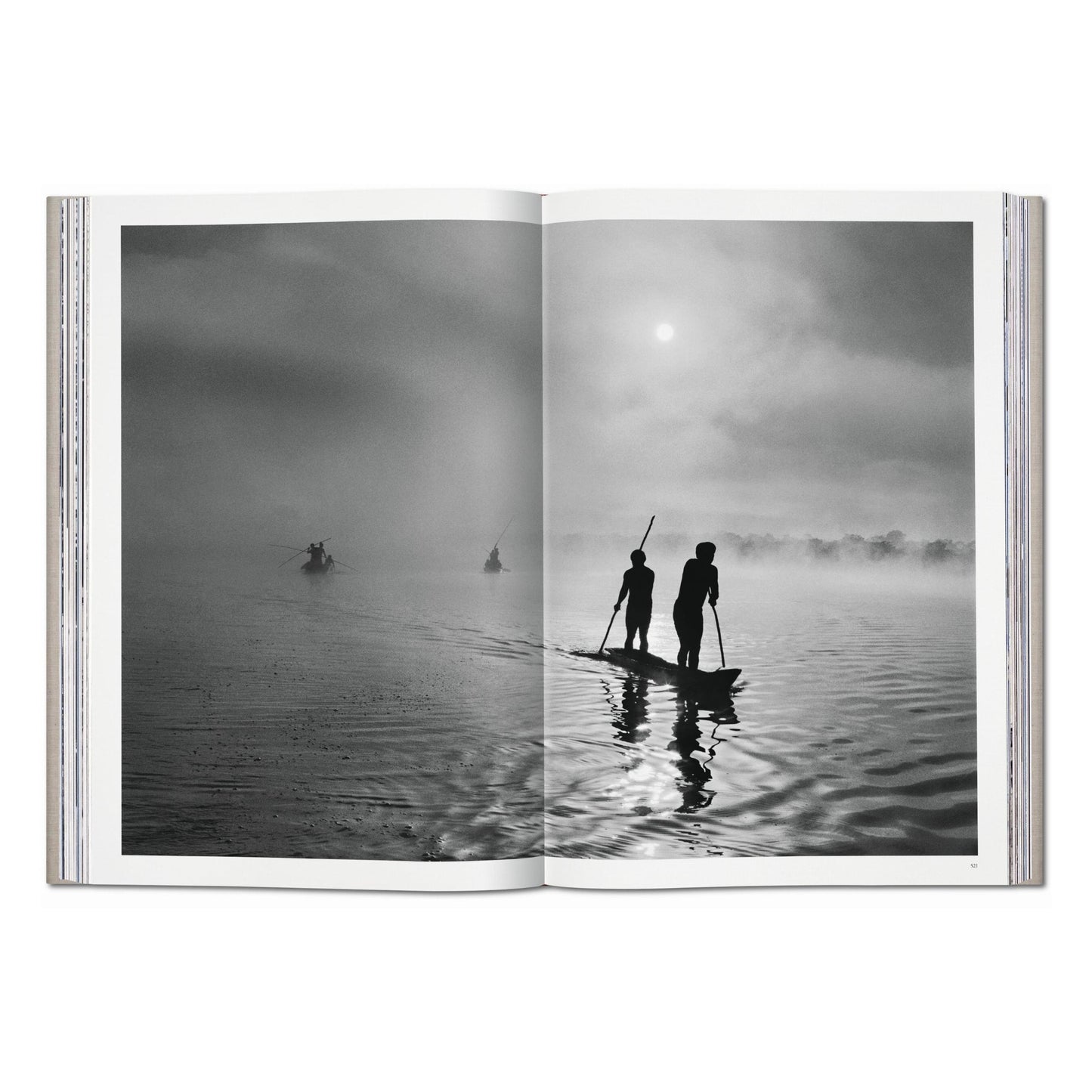Sebastião Salgado. Genesis (English) (SA)