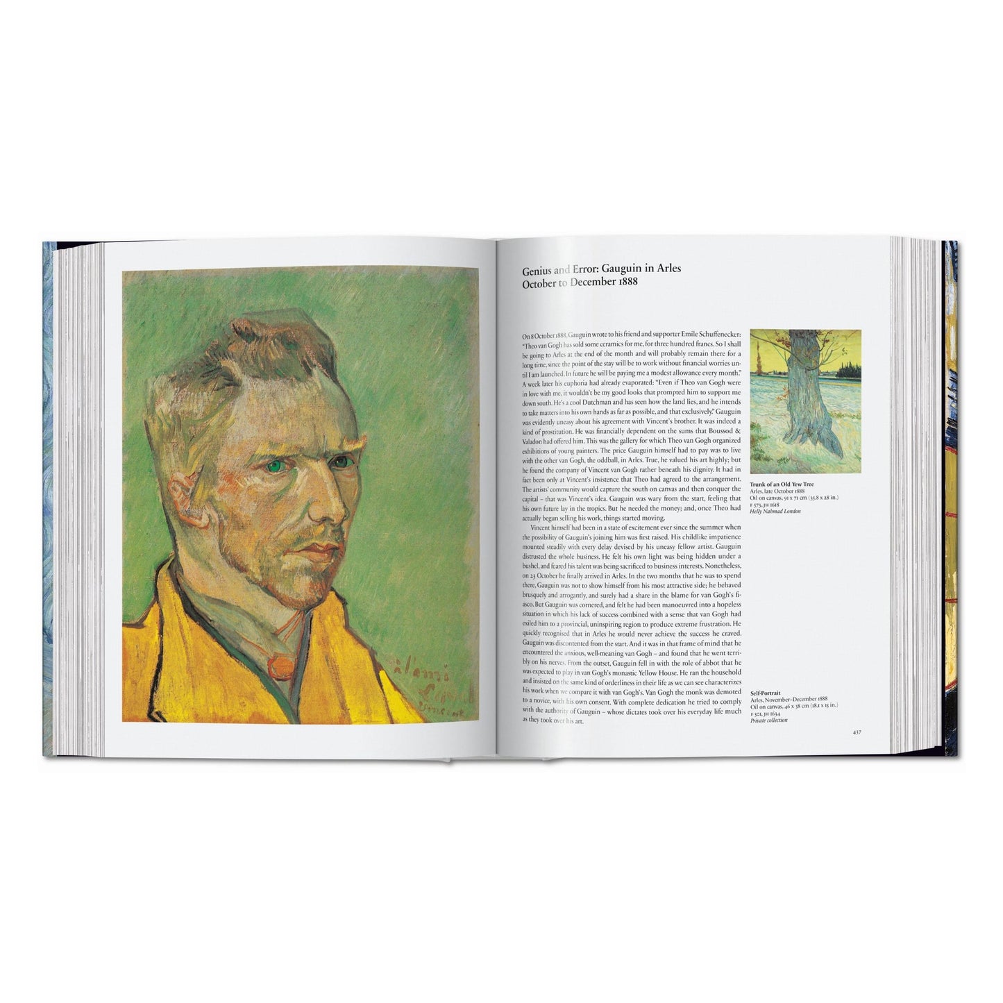 Van Gogh. Sämtliche Gemälde (German)
